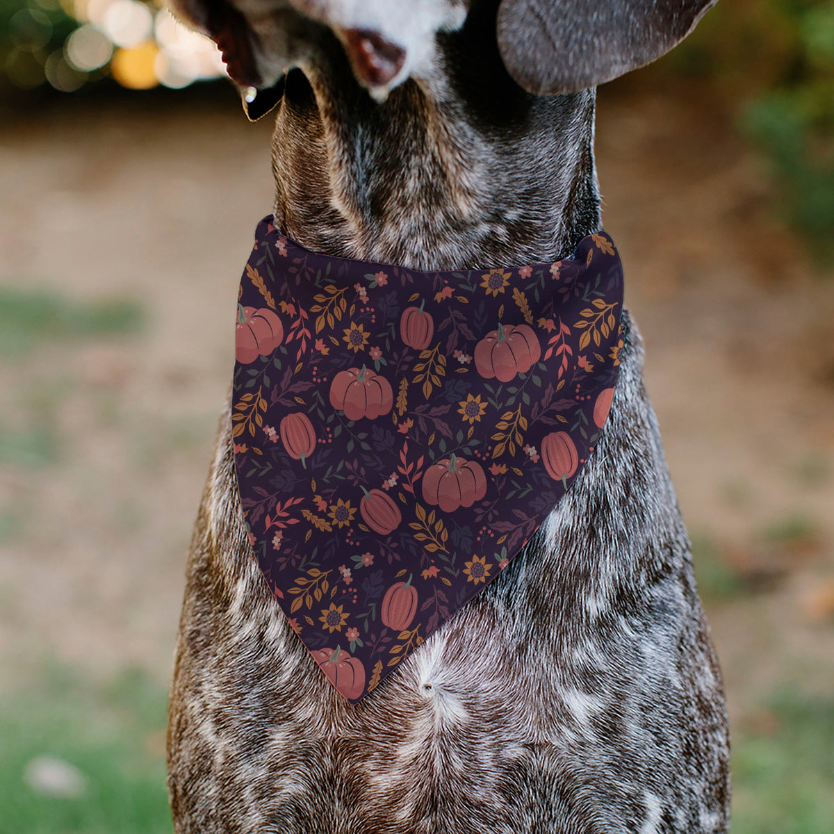 Buckle-Down Fall Harvest Pumpkins and Flowers Collage Pet Bandana