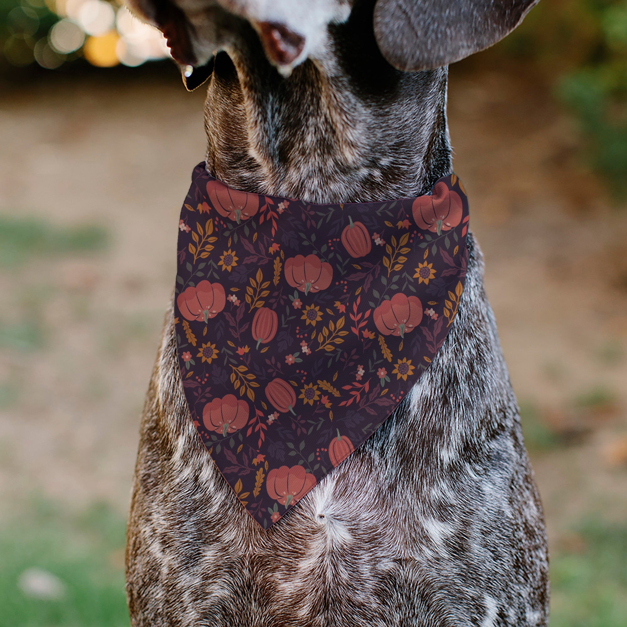 Pet Bandana - Fall Harvest Pumpkins and Flowers Collage Purples/Orange/Greens