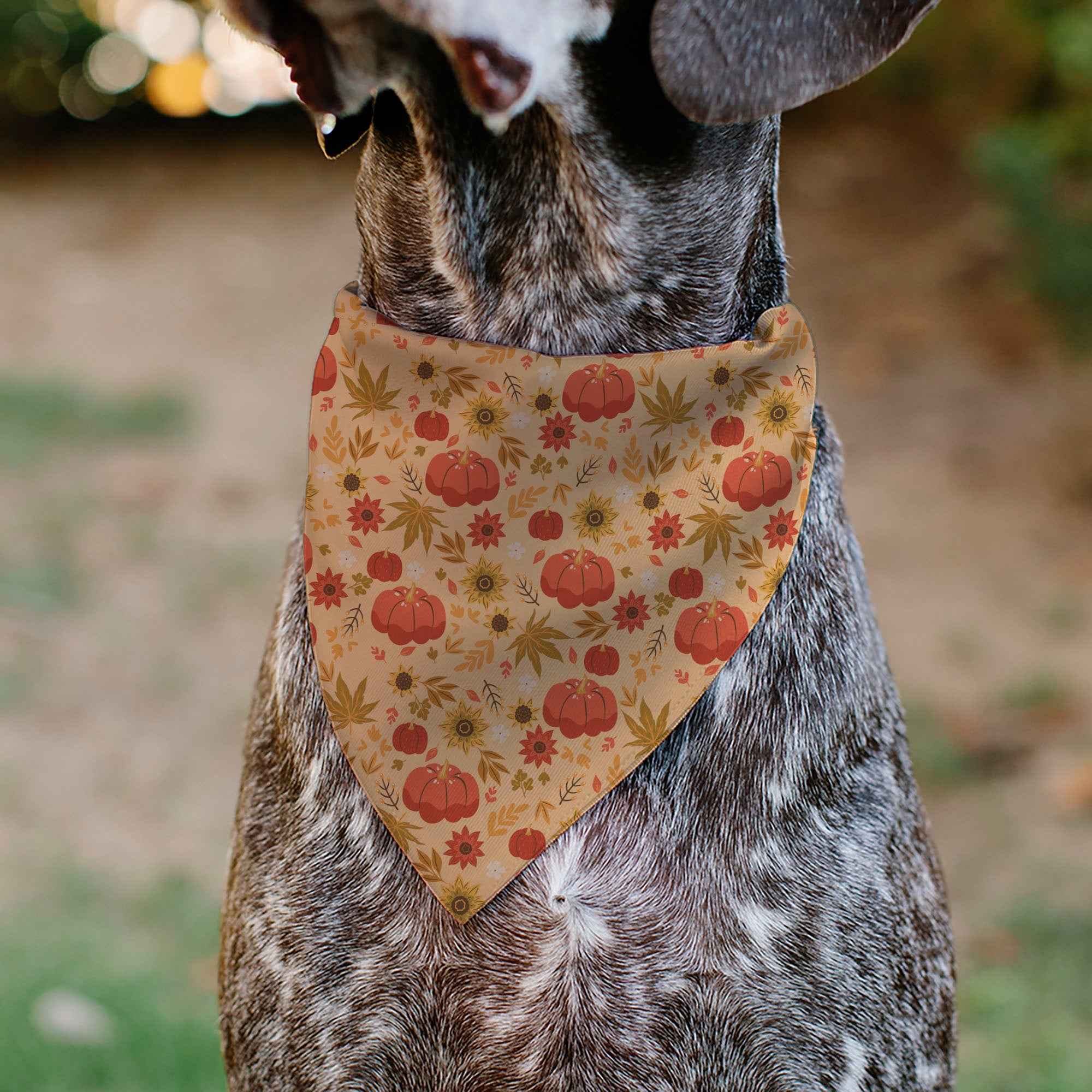 Buckle-Down Fall Harvest Pumpkins and Flowers Collage Tan/Orange/Yellows Over-the-Collar Dog Bandana
