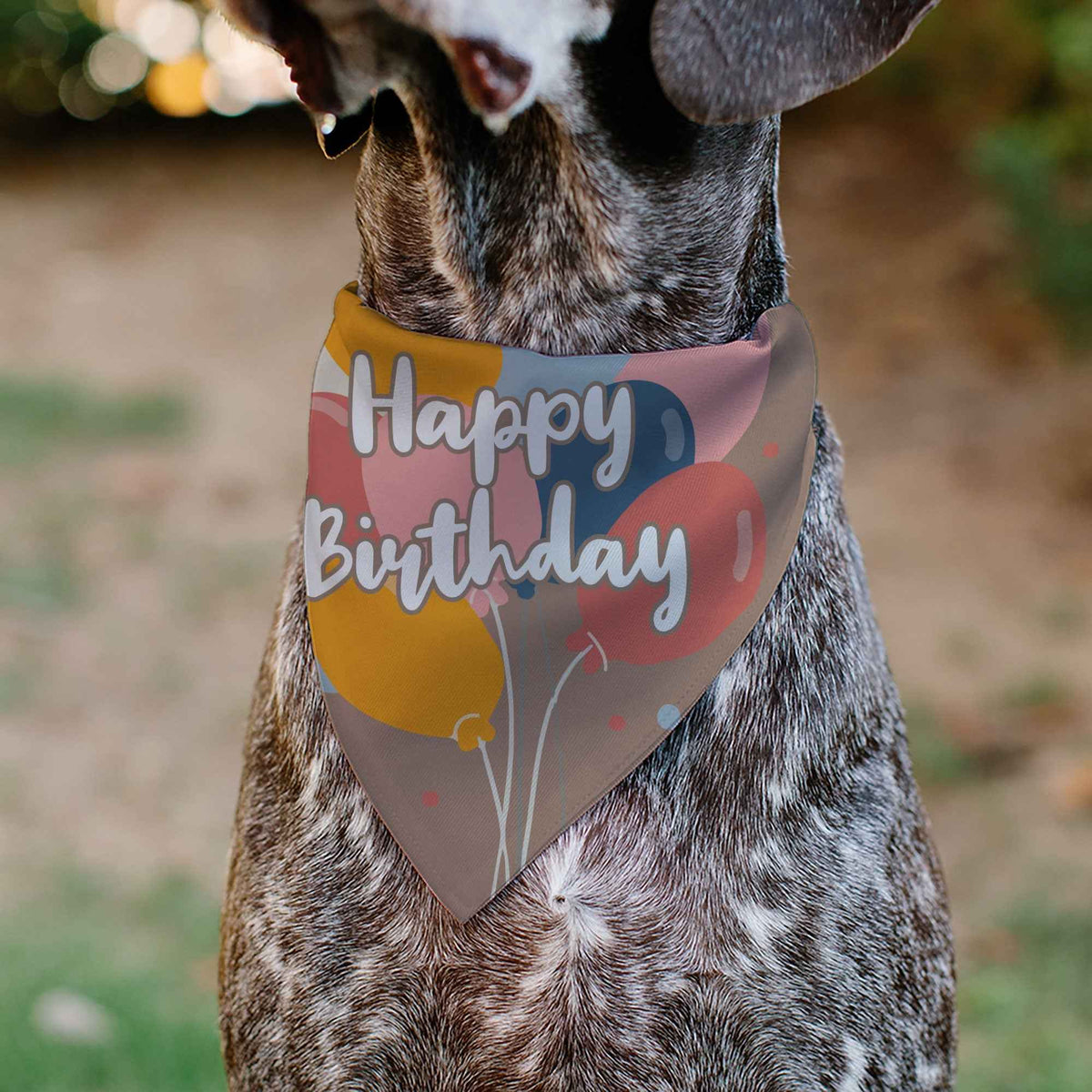 Pet Bandana - HAPPY BIRTHDAY Text and Balloons Tan/Multi Color