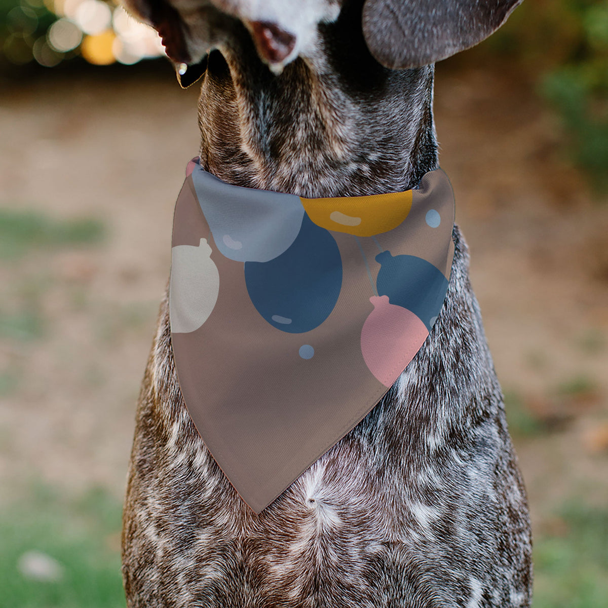 Pet Bandana - HAPPY BIRTHDAY Text and Balloons Tan/Multi Color | HT Animal Supply