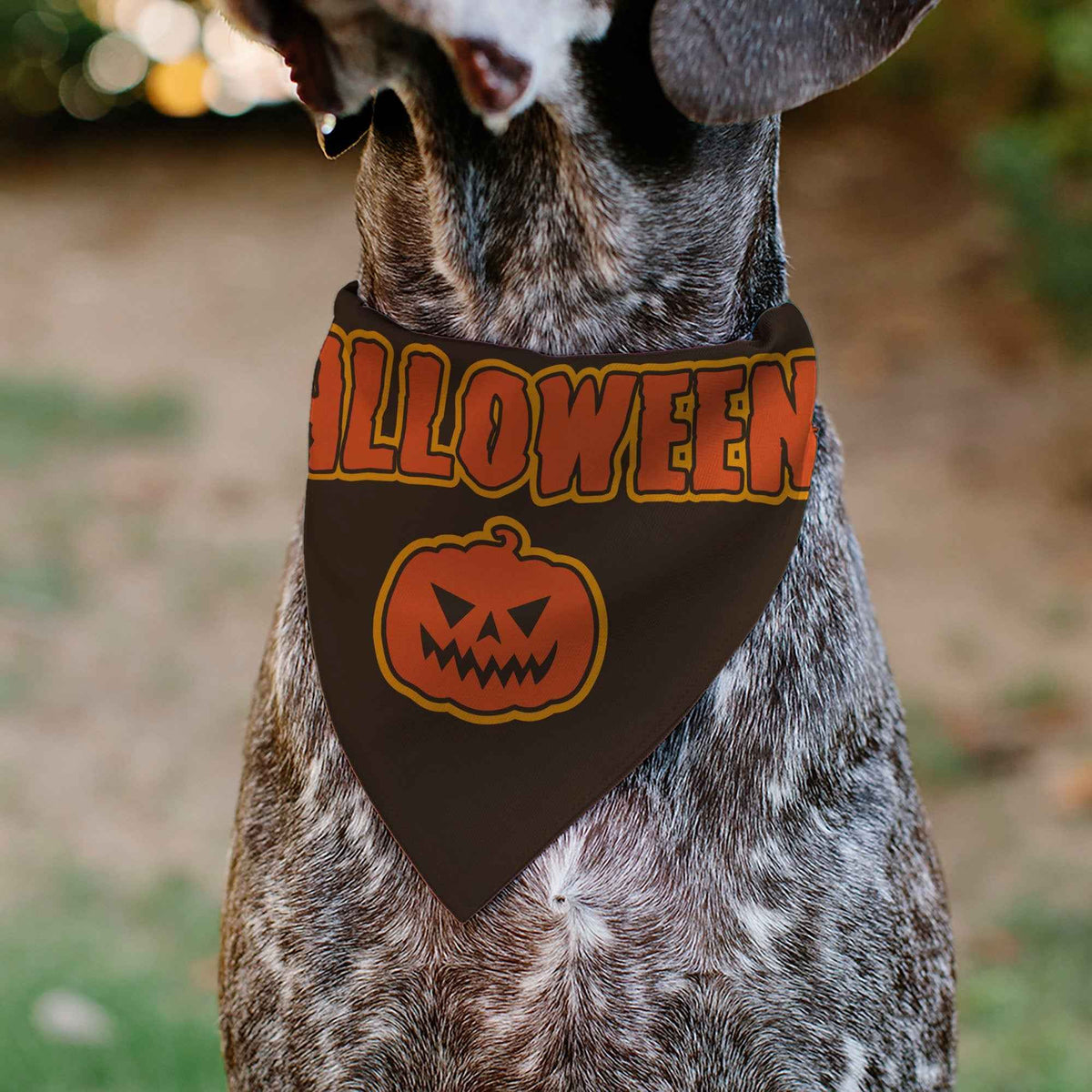 Pet Bandana - HALLOWEEN Jack-O-Lantern Pumpkin Black/Orange