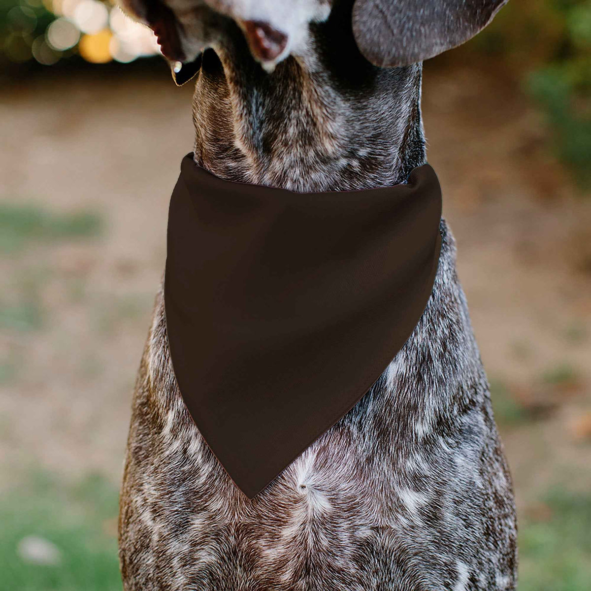 Pet Bandana - HALLOWEEN Jack-O-Lantern Pumpkin Black/Orange