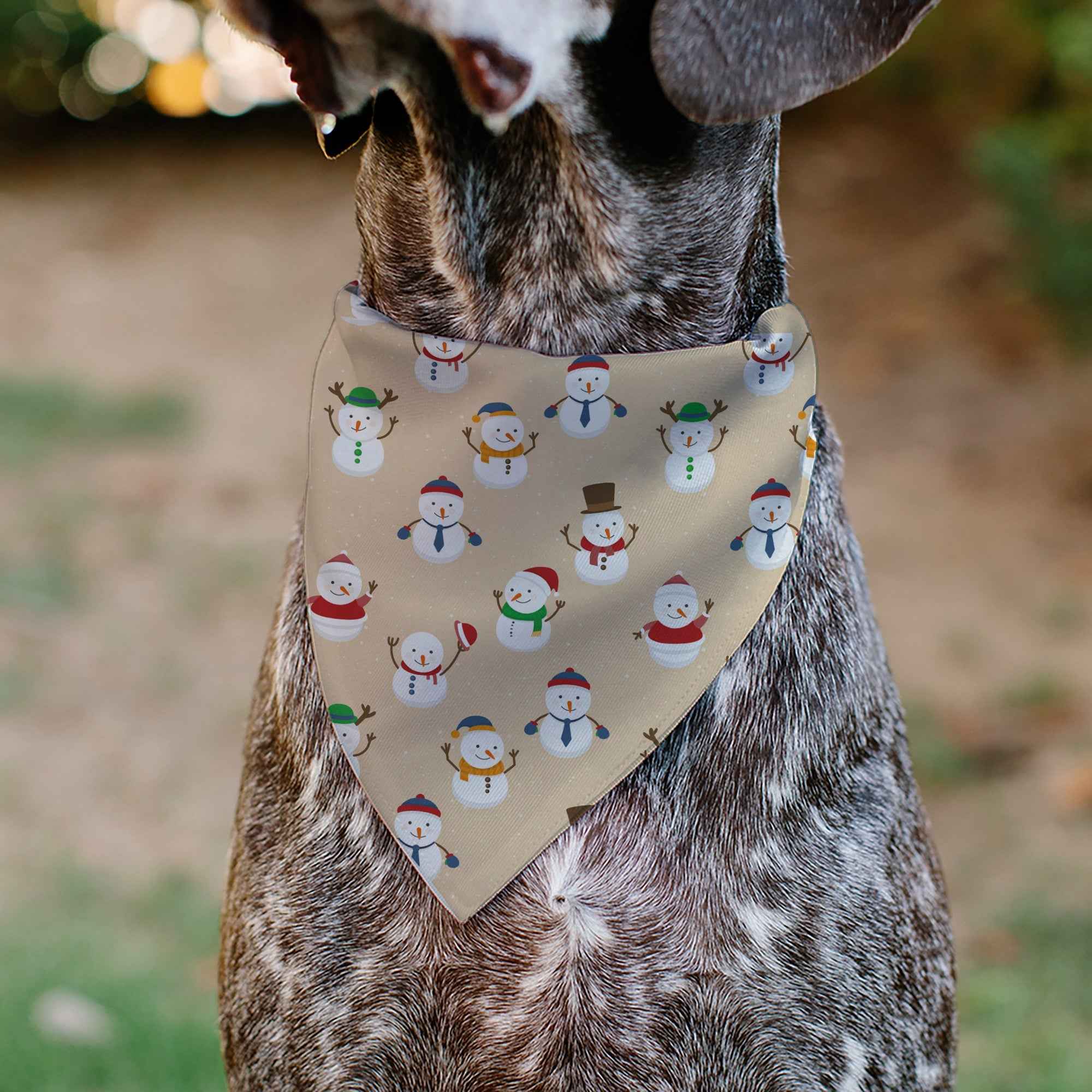 Buckle-Down Holiday Snowman Poses Tan Over-the-Collar Dog Bandana