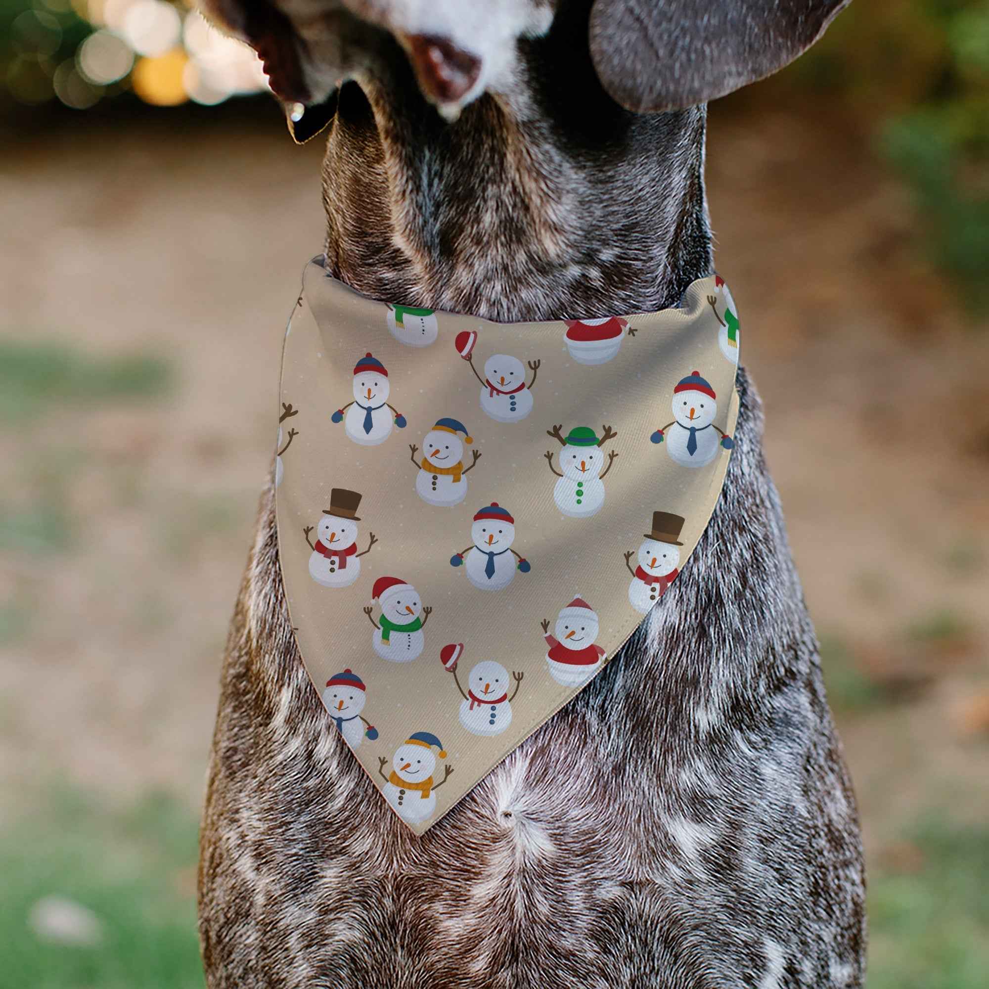 Buckle-Down Holiday Snowman Poses Tan Over-the-Collar Dog Bandana
