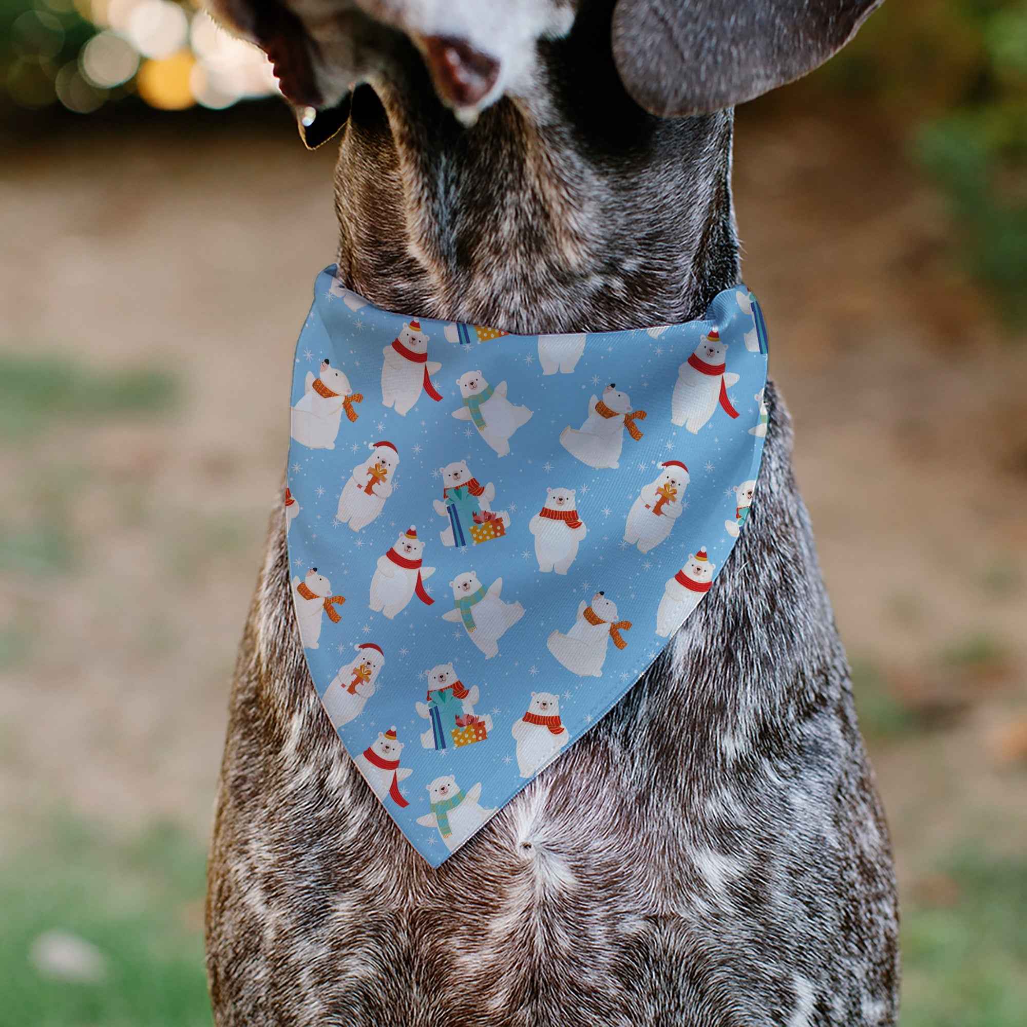 Buckle-Down Holiday Polar Bear Poses Baby Blue Over-the-Collar Dog Bandana