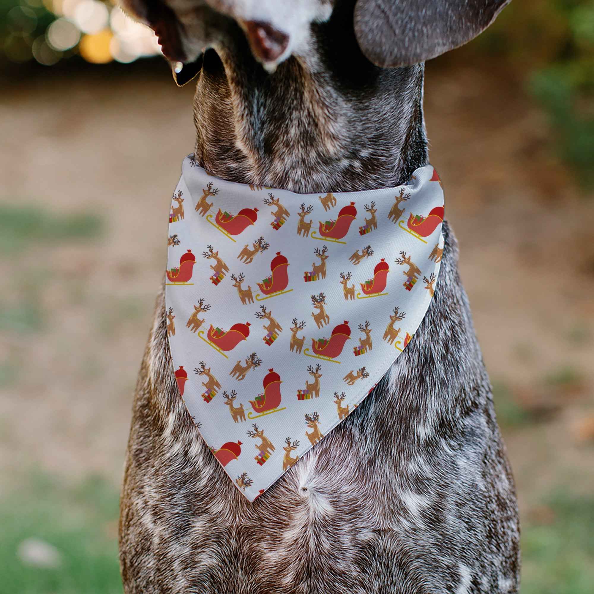 Buckle-Down Holiday Santa Reindeers and Sleigh Collage White Over-the-Collar Dog Bandana