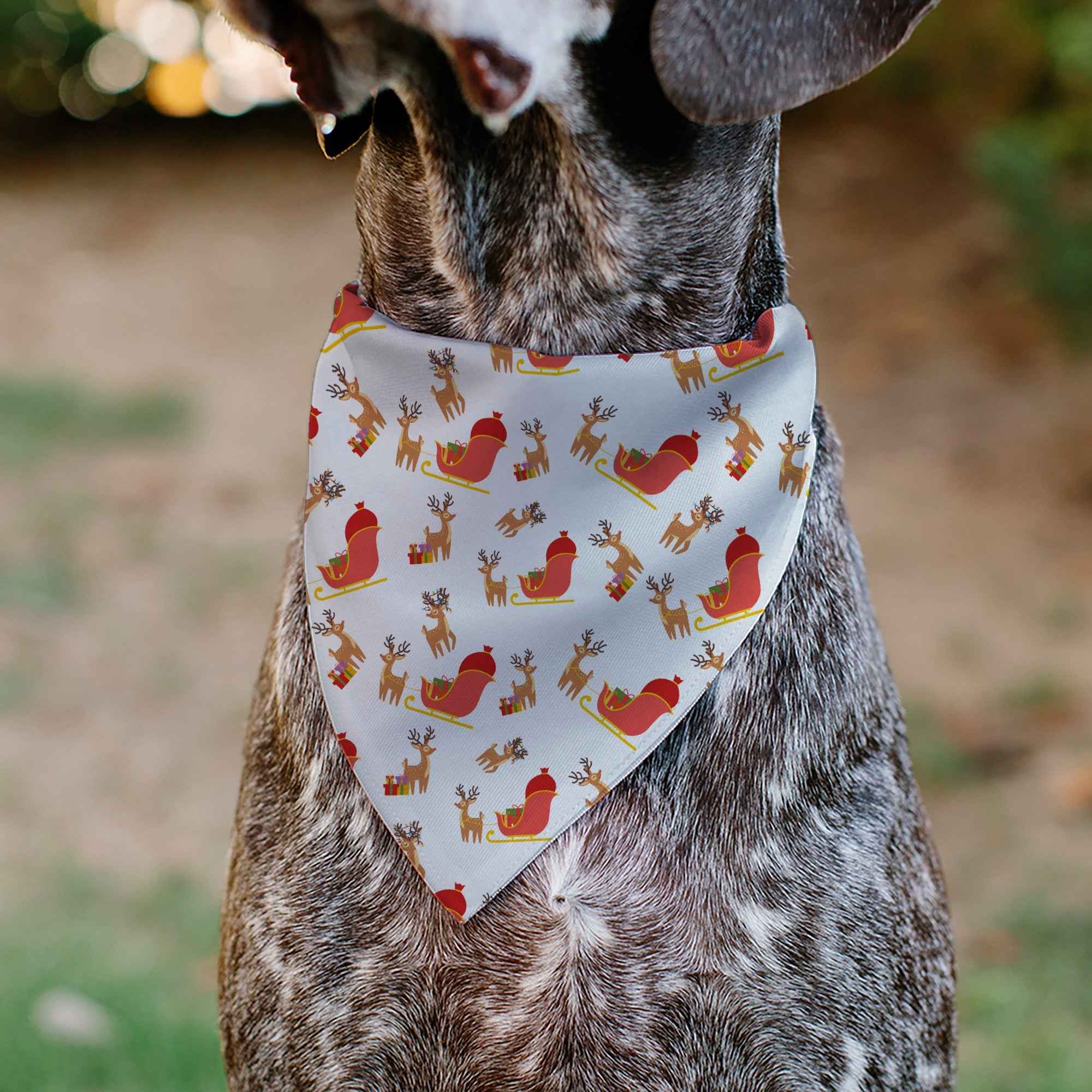 Buckle-Down Holiday Santa Reindeers and Sleigh Collage White Over-the-Collar Dog Bandana
