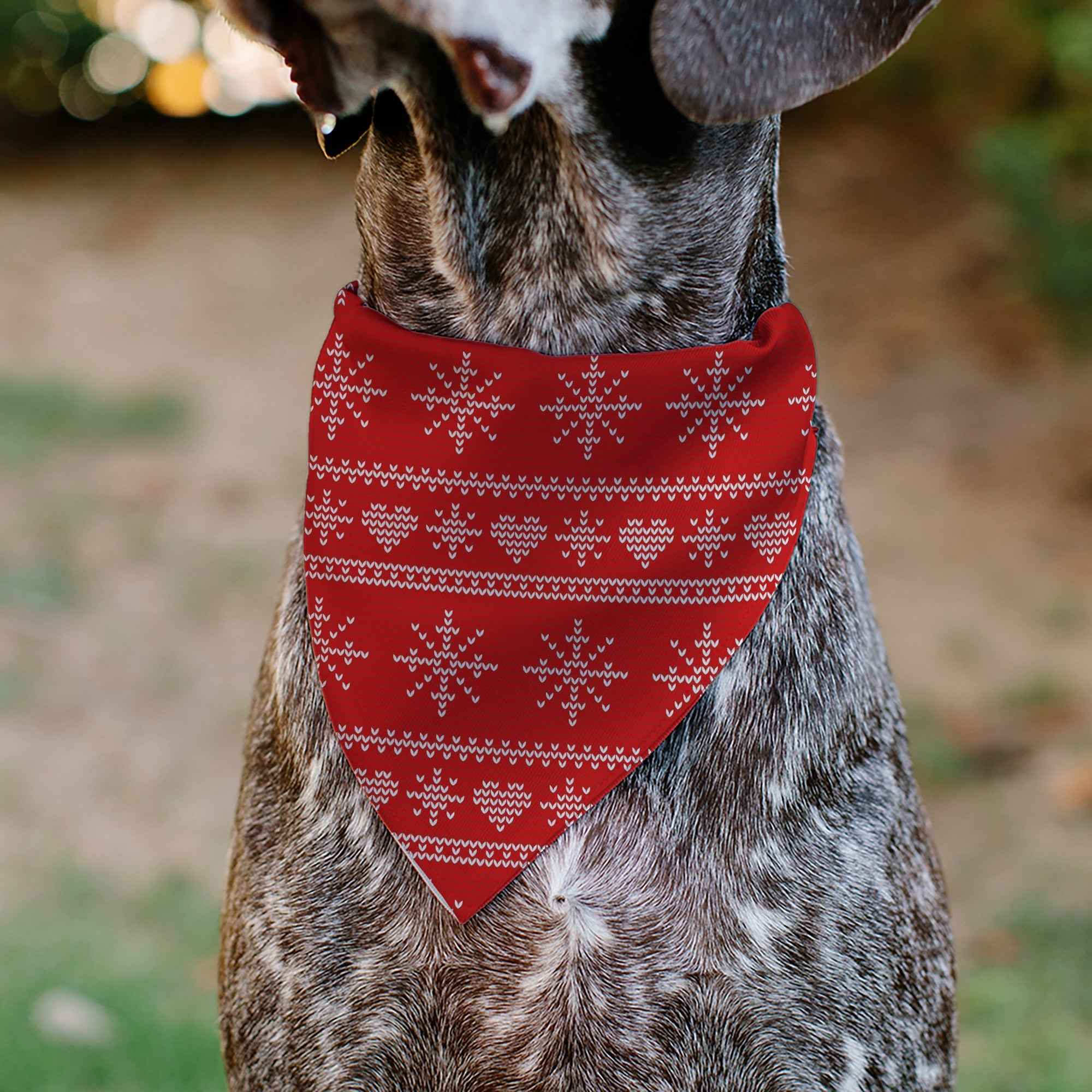 Buckle-Down Holiday Sweater Stitch Hearts and Snowflakes Red/White Over-the-Collar Dog Bandana