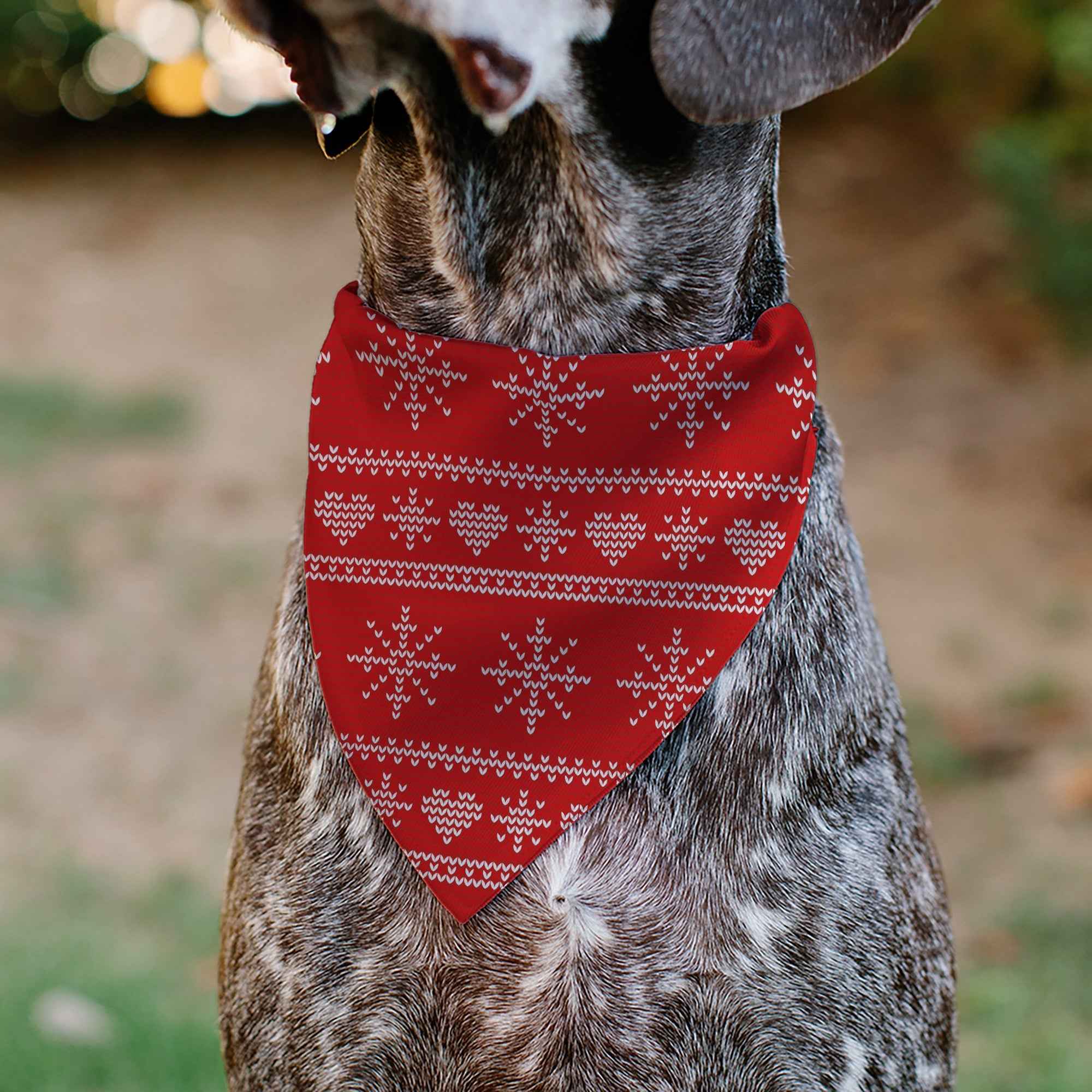 Buckle-Down Holiday Sweater Stitch Hearts and Snowflakes Red/White Over-the-Collar Dog Bandana