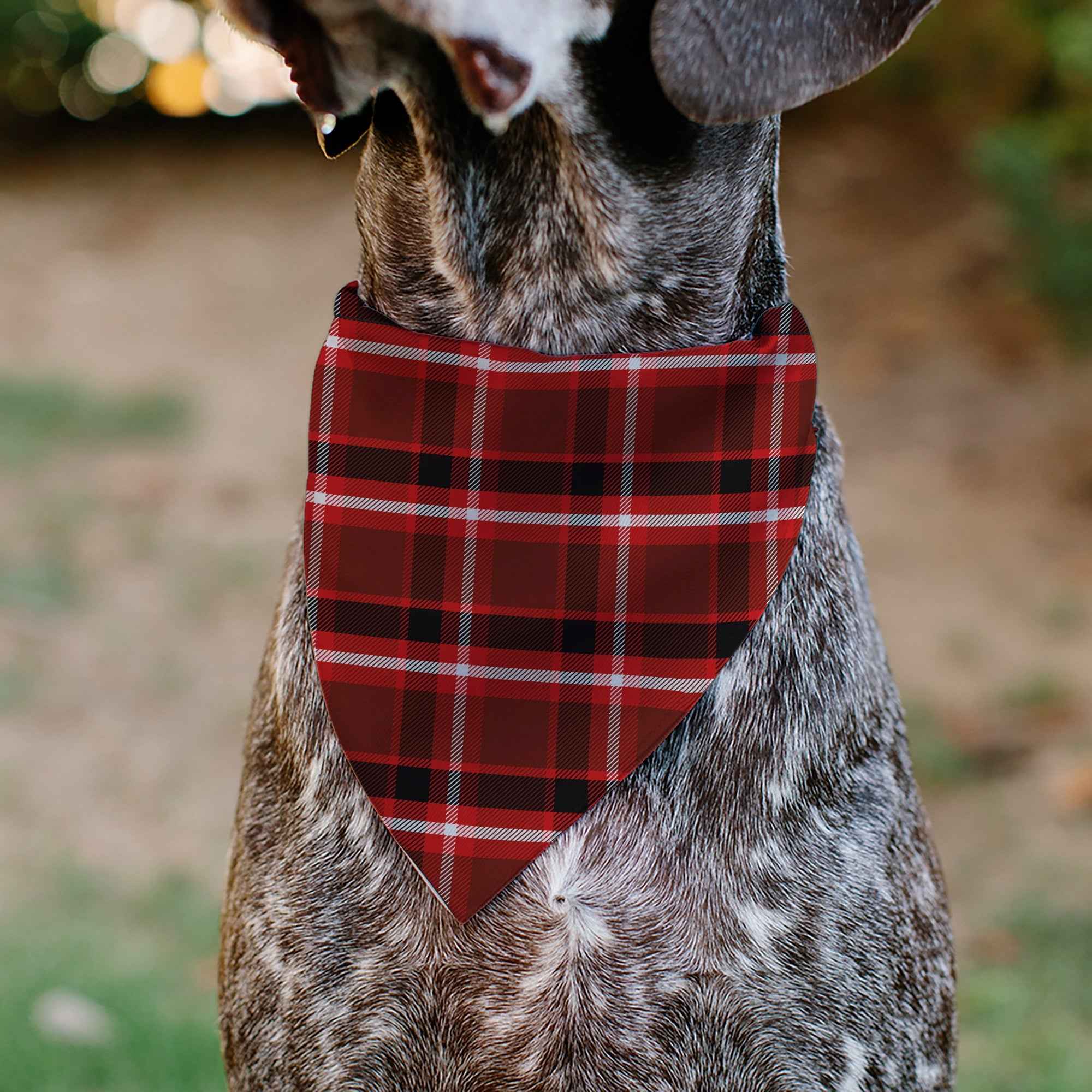 Buckle-Down Holiday Pajama Plaid Red/Black/White Over-the-Collar Dog Bandana