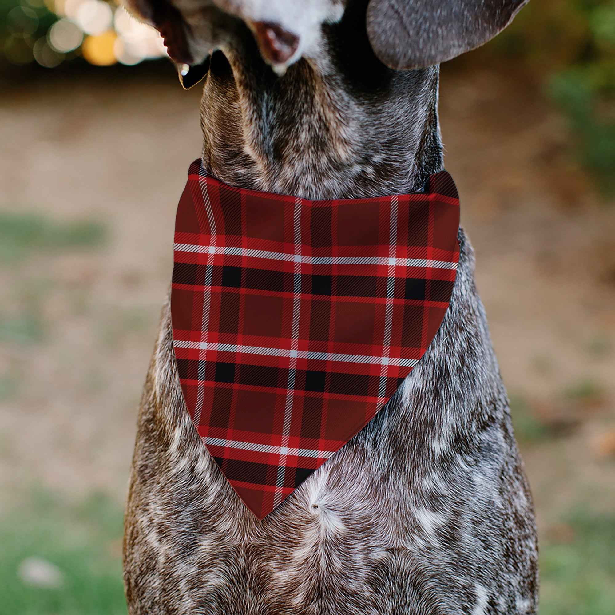 Buckle-Down Holiday Pajama Plaid Red/Black/White Over-the-Collar Dog Bandana