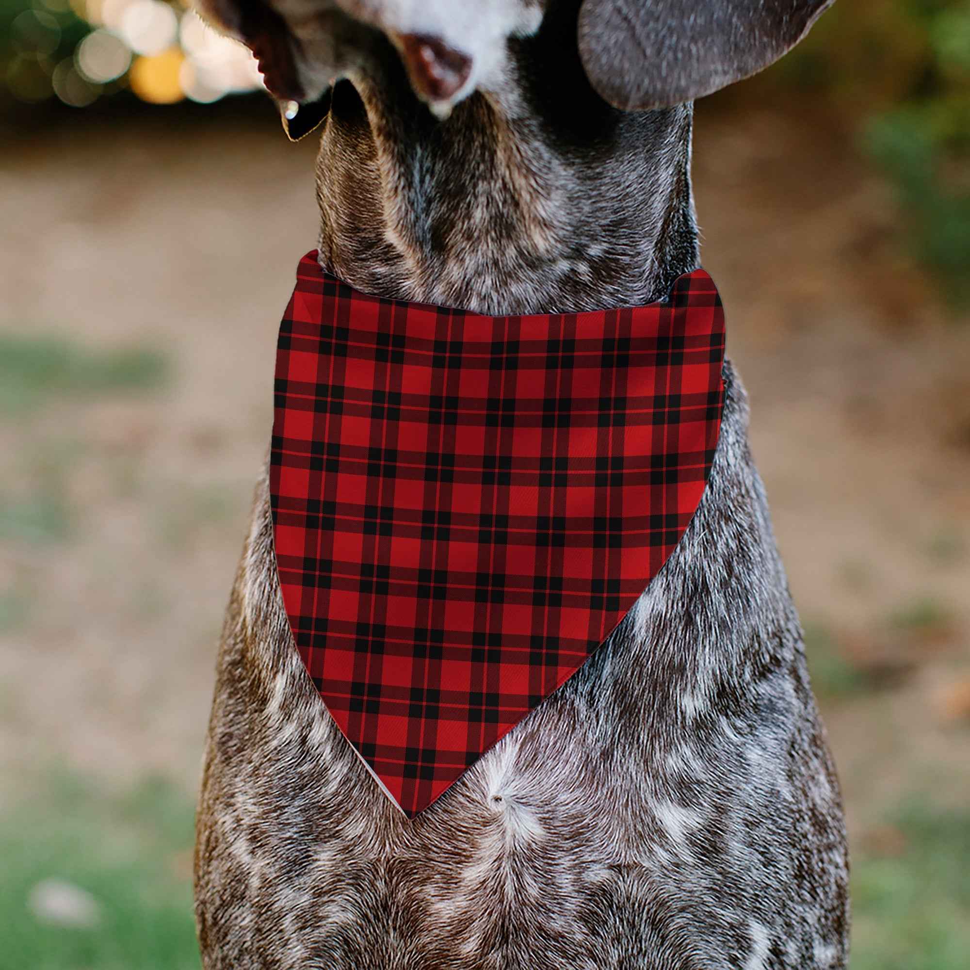 Buckle-Down Holiday Pajama Plaid Red/Black Over-the-Collar Dog Bandana