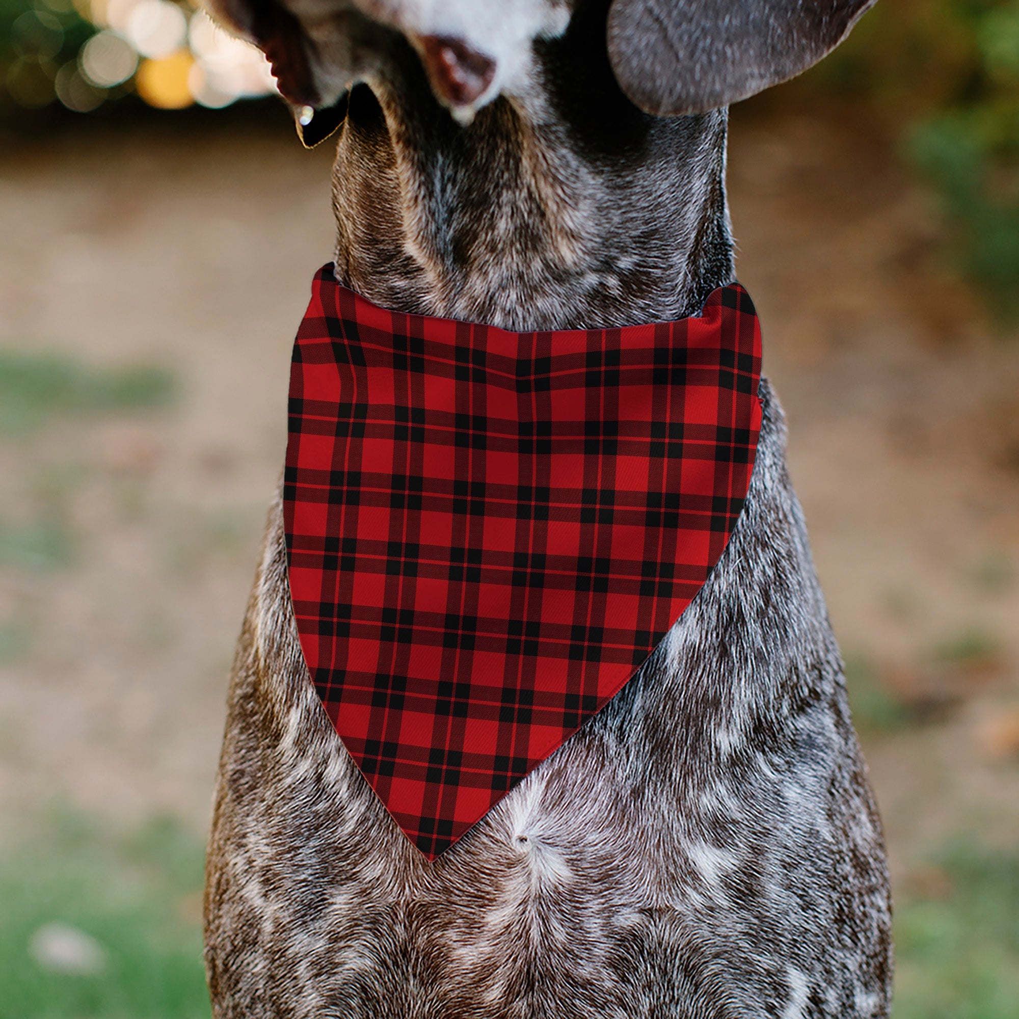 Buckle-Down Holiday Pajama Plaid Red/Black Over-the-Collar Dog Bandana
