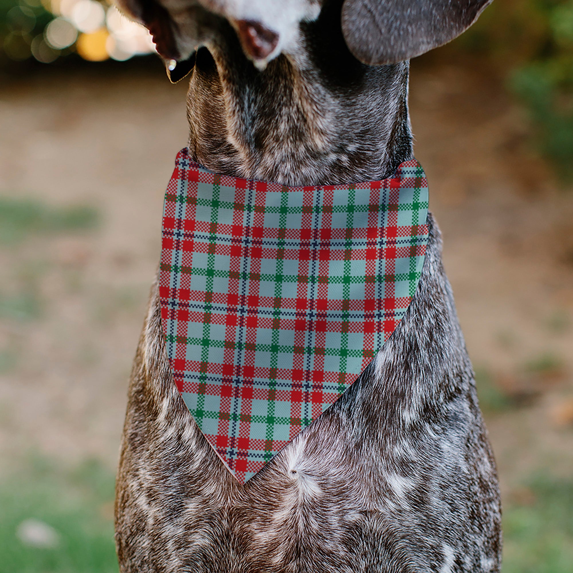 Buckle-Down Holiday Pajama Plaid Beige/Red/Green Over-the-Collar Dog Bandana