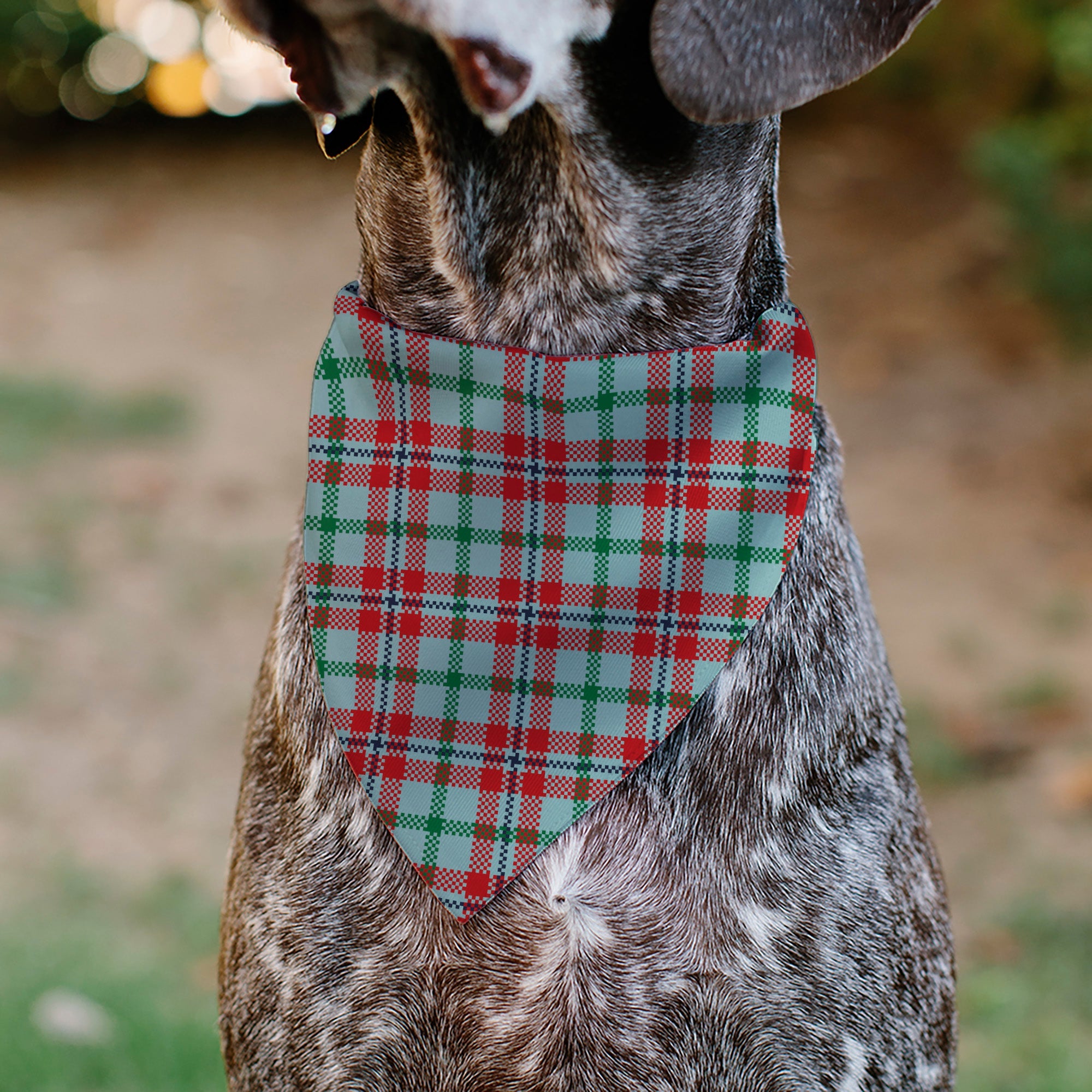 Buckle-Down Holiday Pajama Plaid Beige/Red/Green Over-the-Collar Dog Bandana