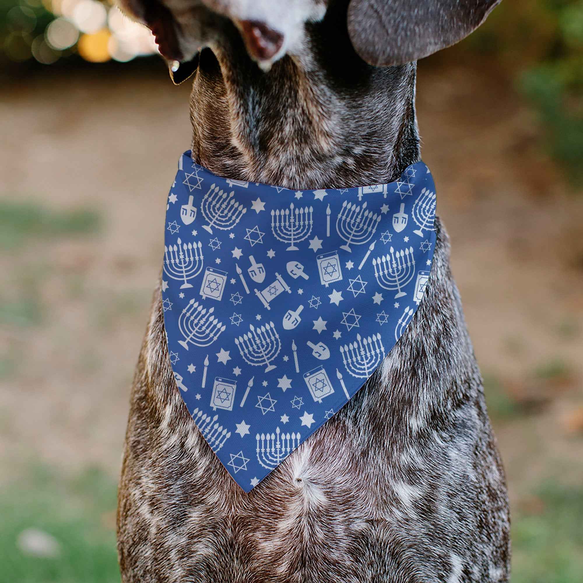 Buckle-Down Hanukkah Holiday Symbols Blue/White Over-the-Collar Dog Bandana