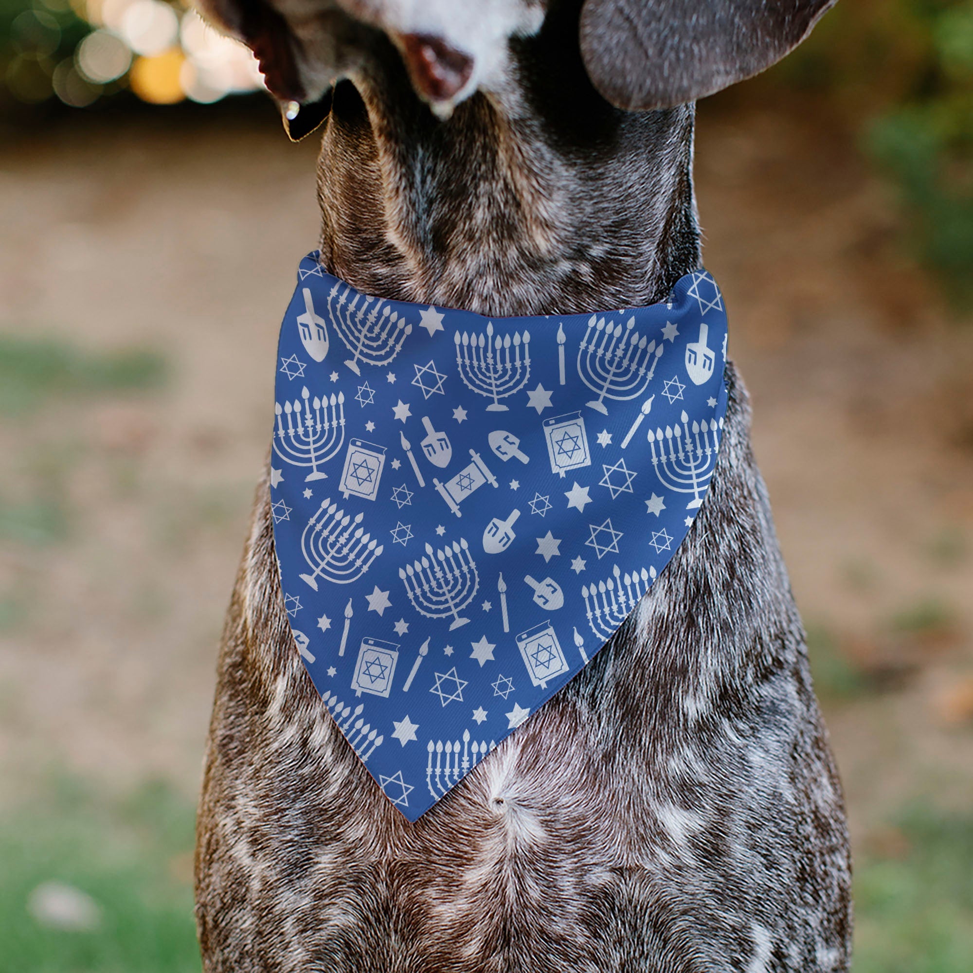 Buckle-Down Hanukkah Holiday Symbols Blue/White Over-the-Collar Dog Bandana
