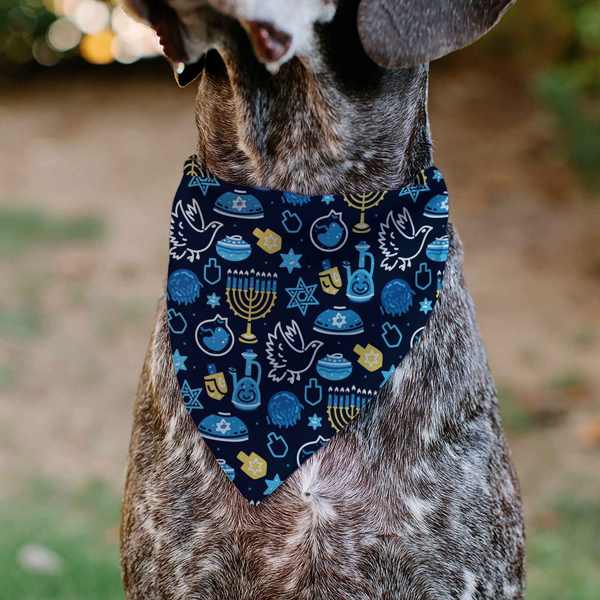 Buckle-Down Hanukkah Holiday Symbols Black/Blues/Yellow Over-the-Collar Dog Bandana