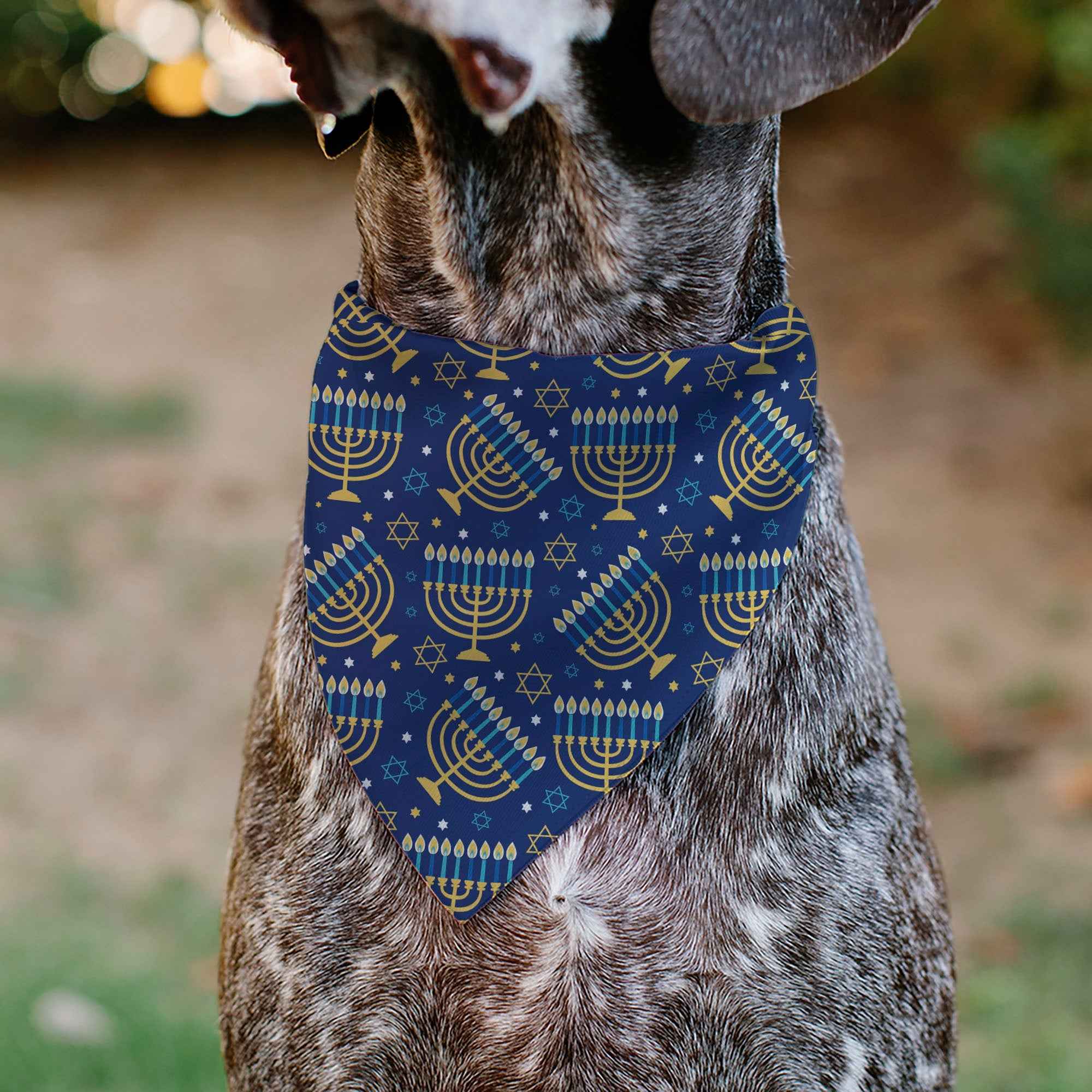 Buckle-Down Hanukkah Holiday Menorah Blues/Yellows Over-the-Collar Dog Bandana