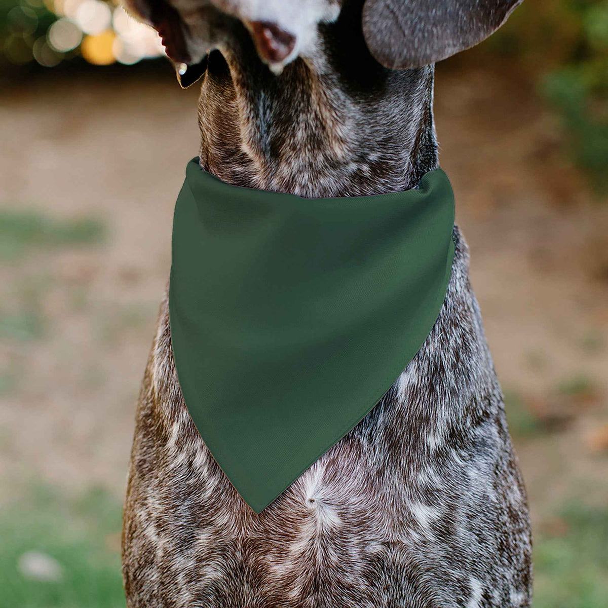 Pet Bandana - PET ME Text and Paw Olive/Pinks/Brown