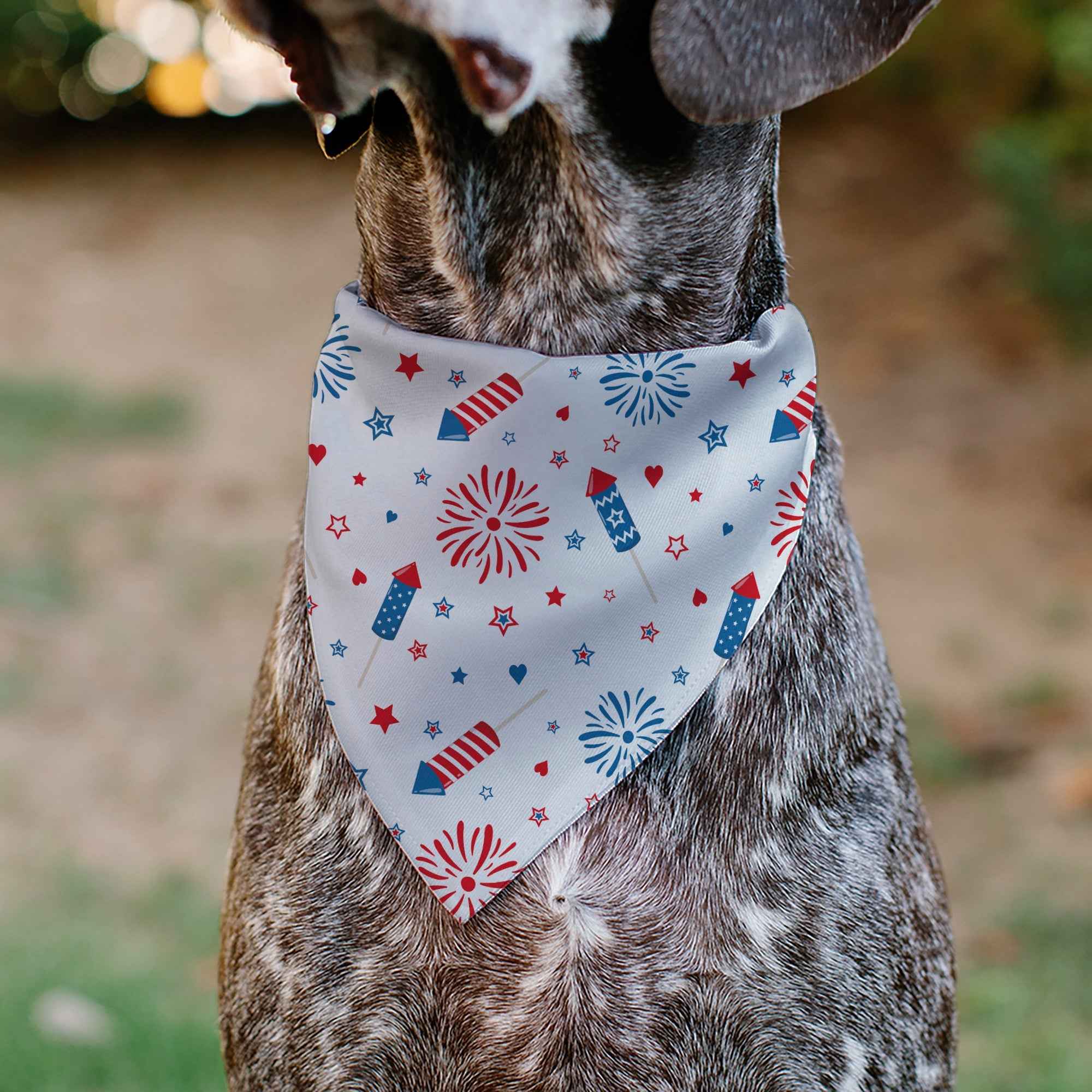 Buckle-Down Stars and Stripes Fireworks White/Blue/Red Over-the-Collar Dog Bandana