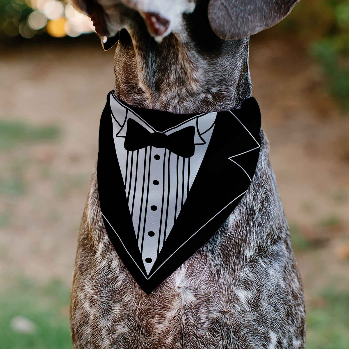Pet Bandana - Tuxedo Shirt Print Black/White