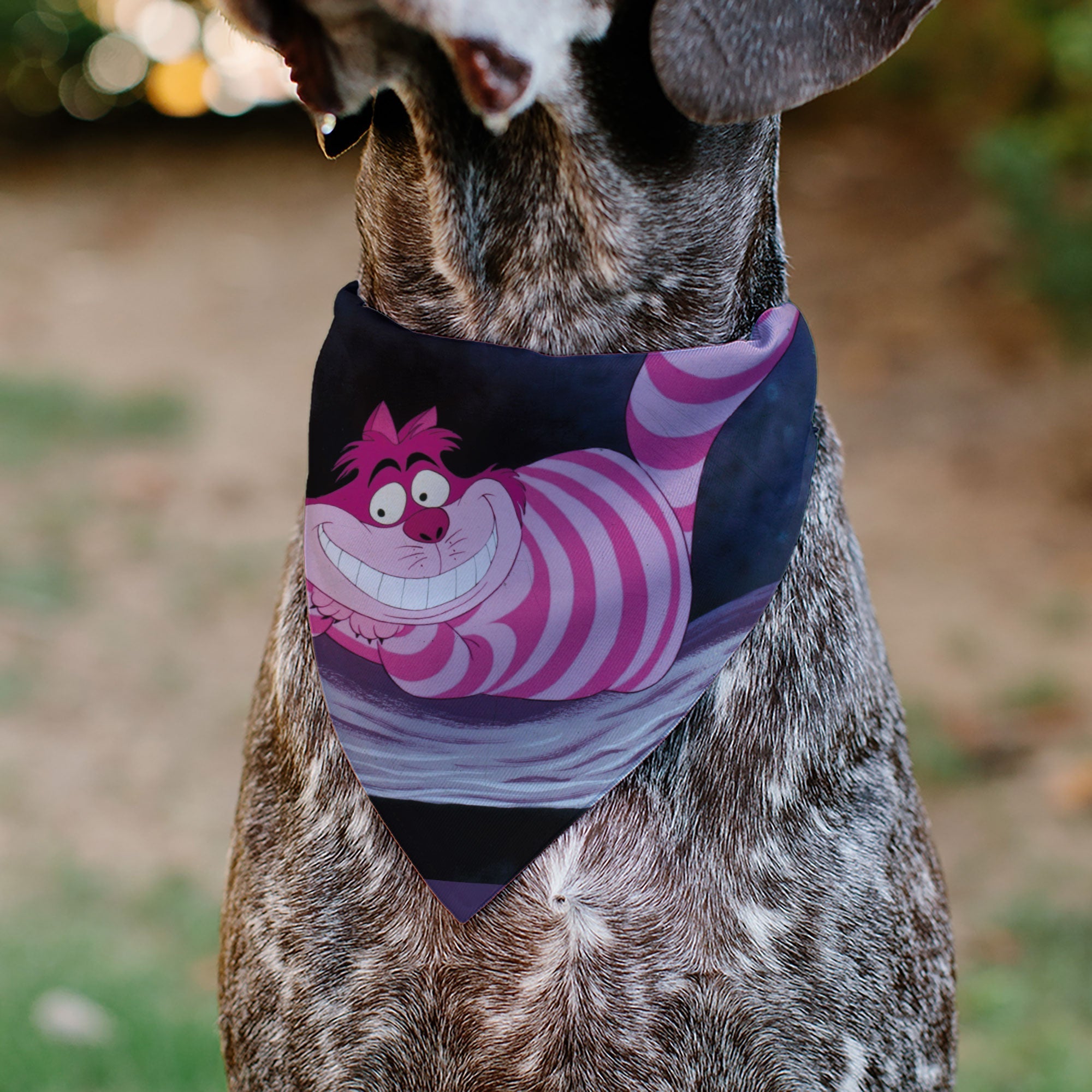 Pet Bandana - Alice in Wonderland Cheshire Cat Smiling Pose 