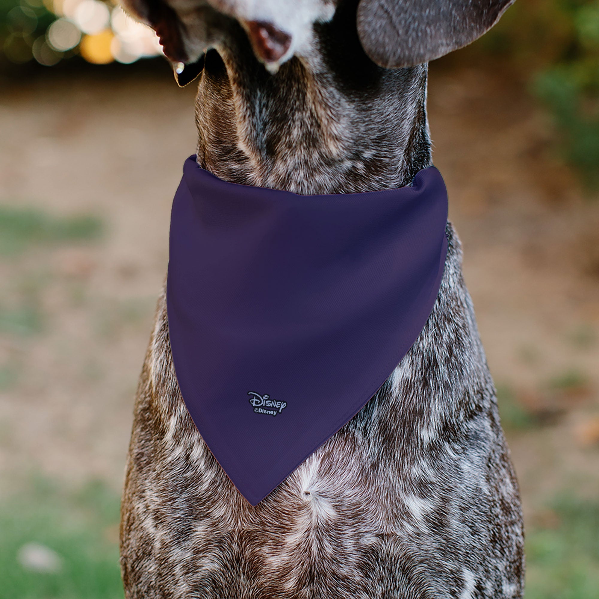 Pet Bandana - Alice in Wonderland Cheshire Cat Smiling Pose 