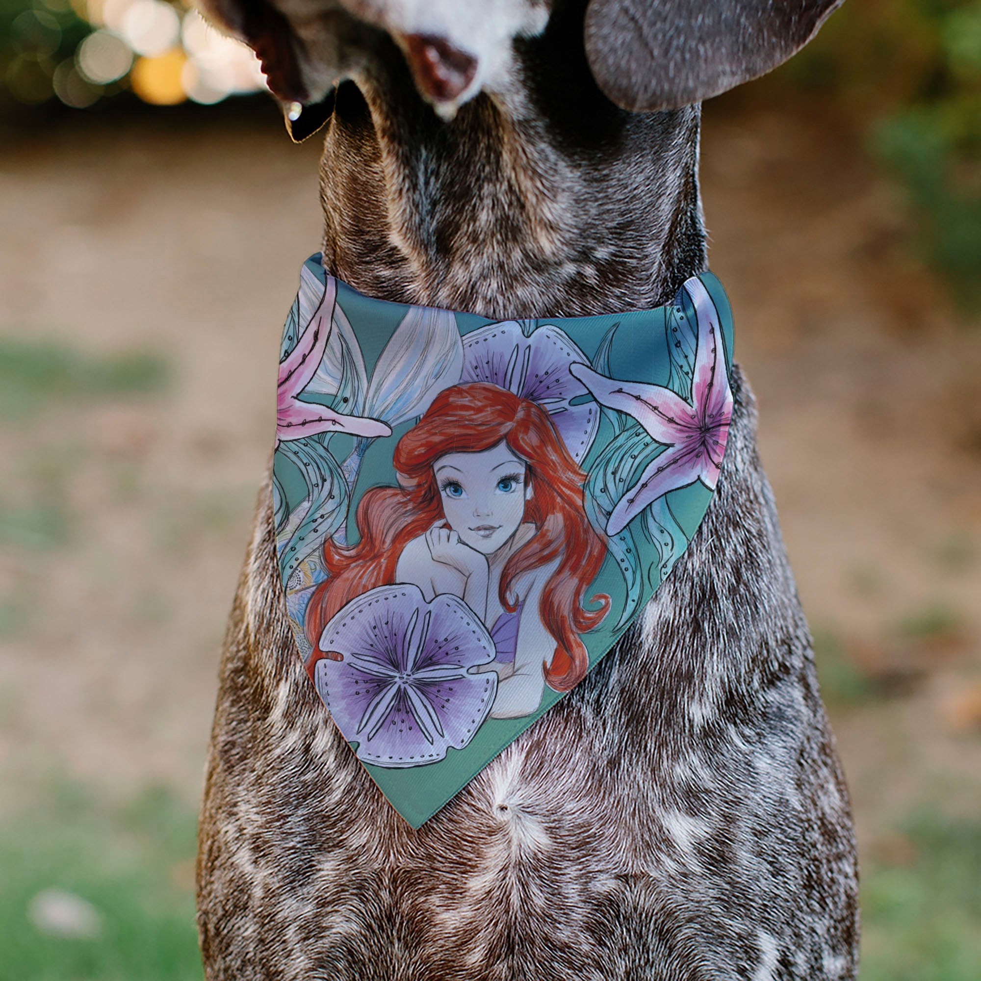 Pet Bandana - The Little Mermaid Ariel Pose and Shells Sketch 