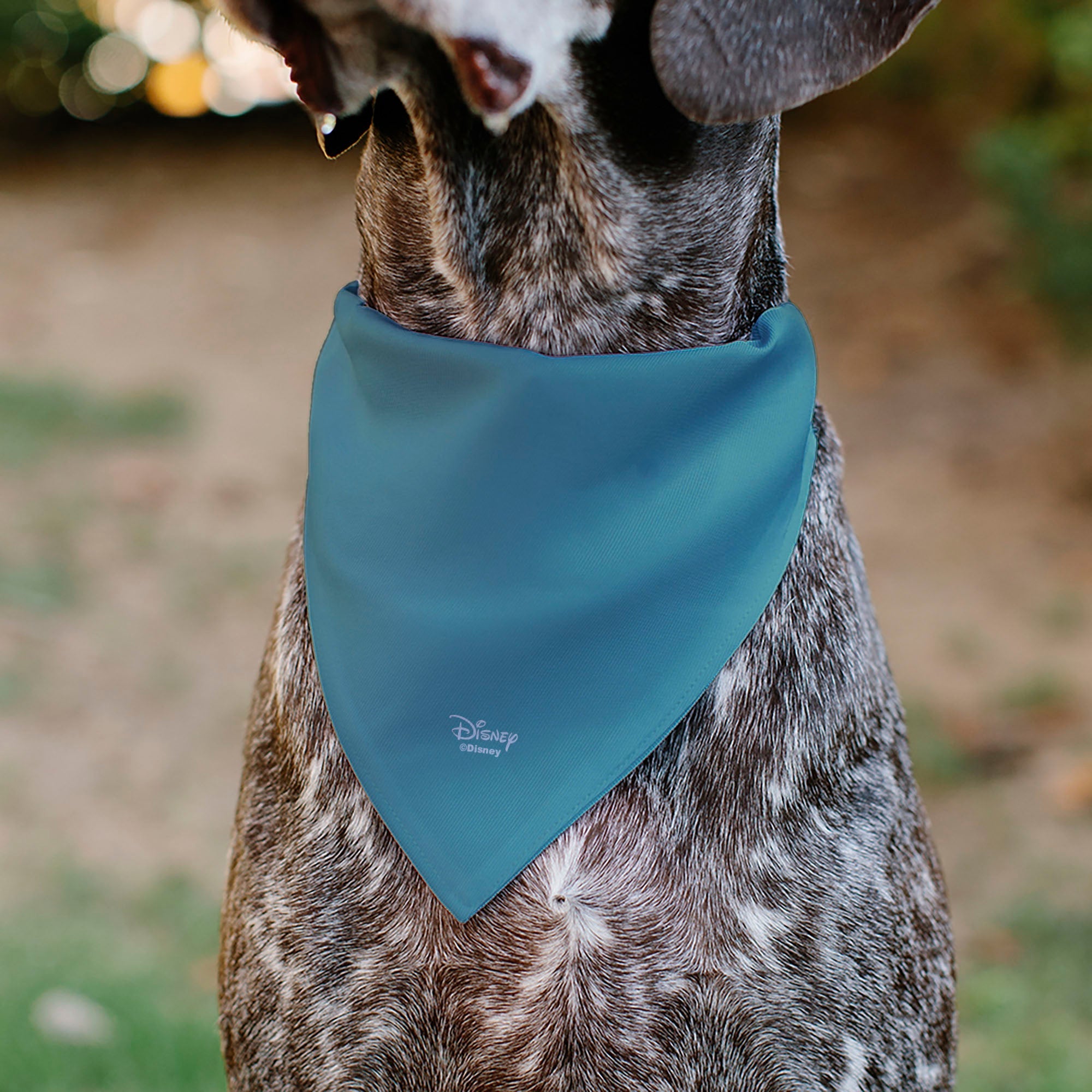 Pet Bandana - The Little Mermaid Ariel Pose and Shells Sketch 