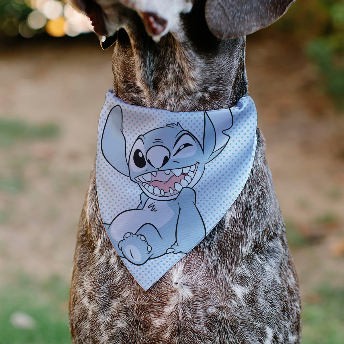 Pet Bandana - Lilo & Stitch Stitch Winking Pose and Polka Dots White/Blue 