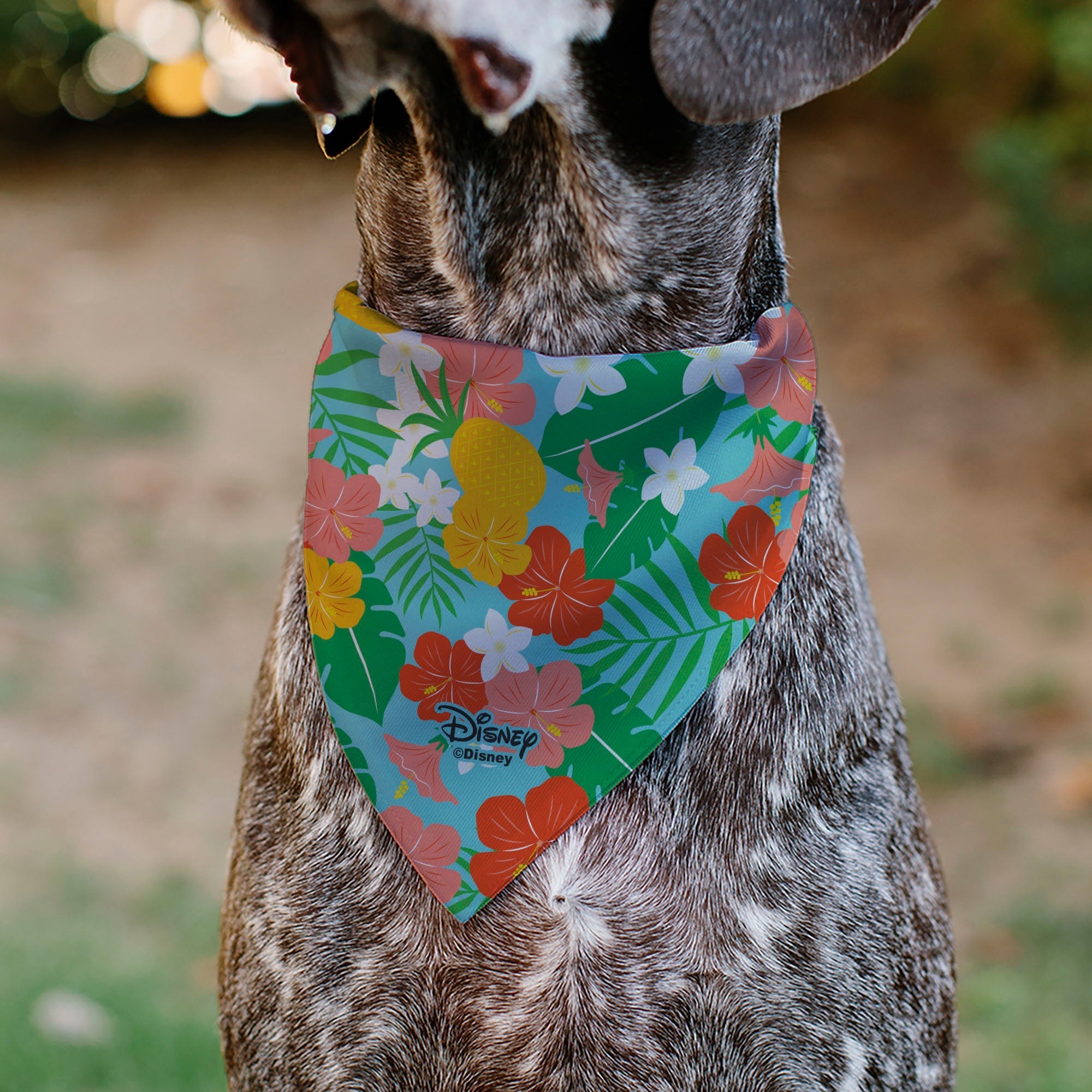 Pet Bandana - Lilo & Stitch Stitch Hang Loose Pose Floral Collage Blue 