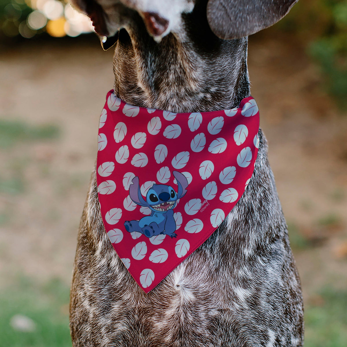 Pet Bandana - Lilo Dress Leaves & Stitch Sitting Pose Red/White 