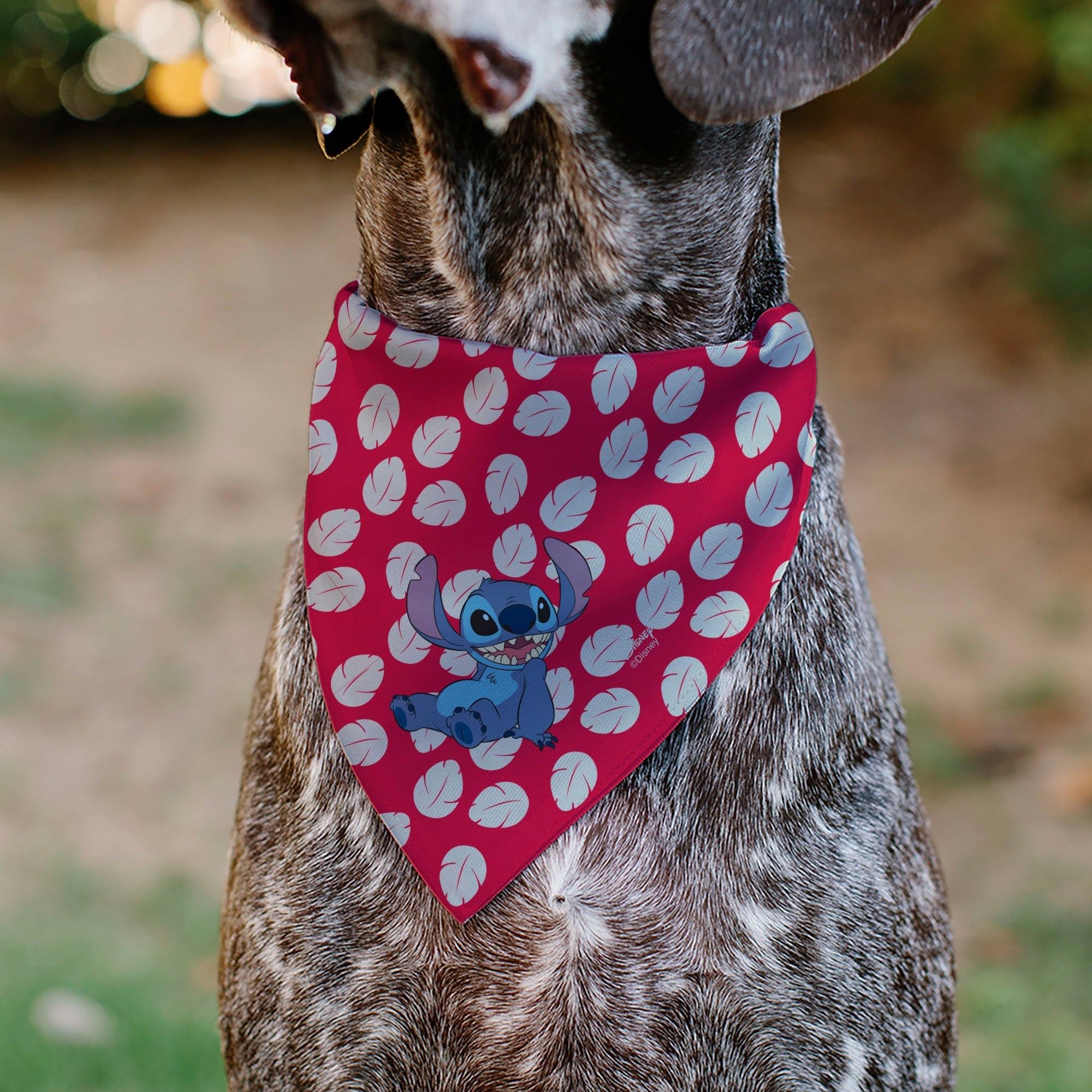 Pet Bandana - Lilo Dress Leaves & Stitch Sitting Pose Red/White 
