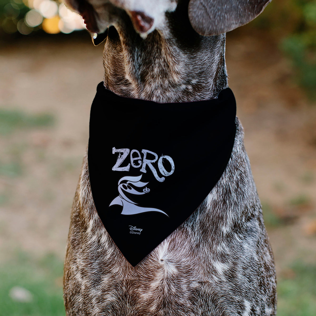 Pet Bandana - Nightmare Before Christmas ZERO Smiling Pose Black/White 