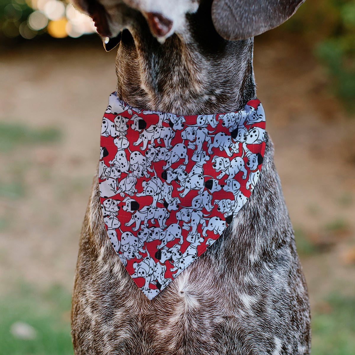 Pet Bandana - 101 Dalmatians Puppies Scattered Red 