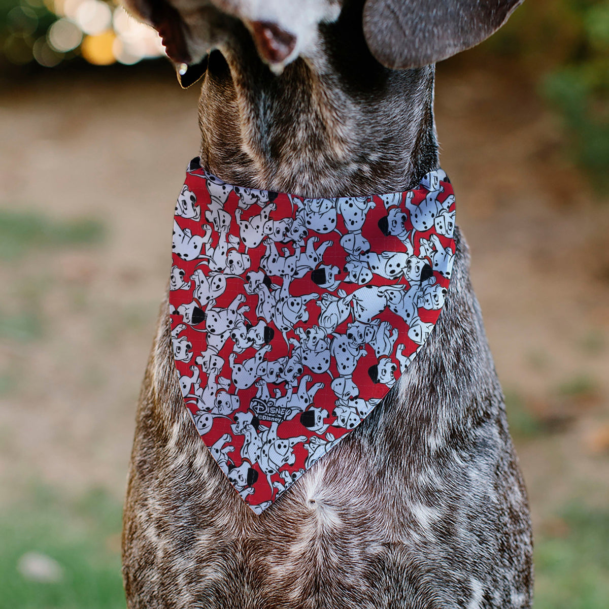 Pet Bandana - 101 Dalmatians Puppies Scattered Red 