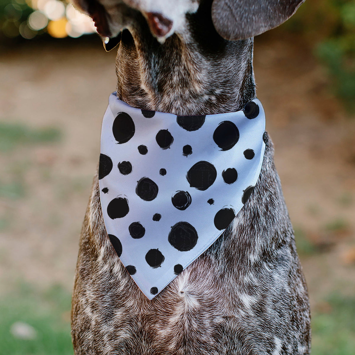 Pet Bandana - 101 Dalmatians Cruellas Spots White/Black 