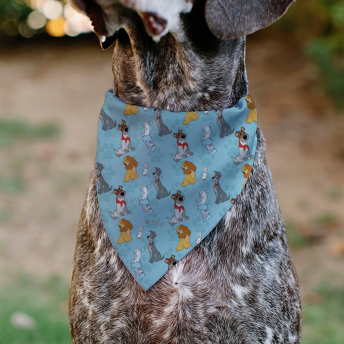Buckle-Down Disney Dogs 5-Dog Group Collage & Paws Pet Bandana