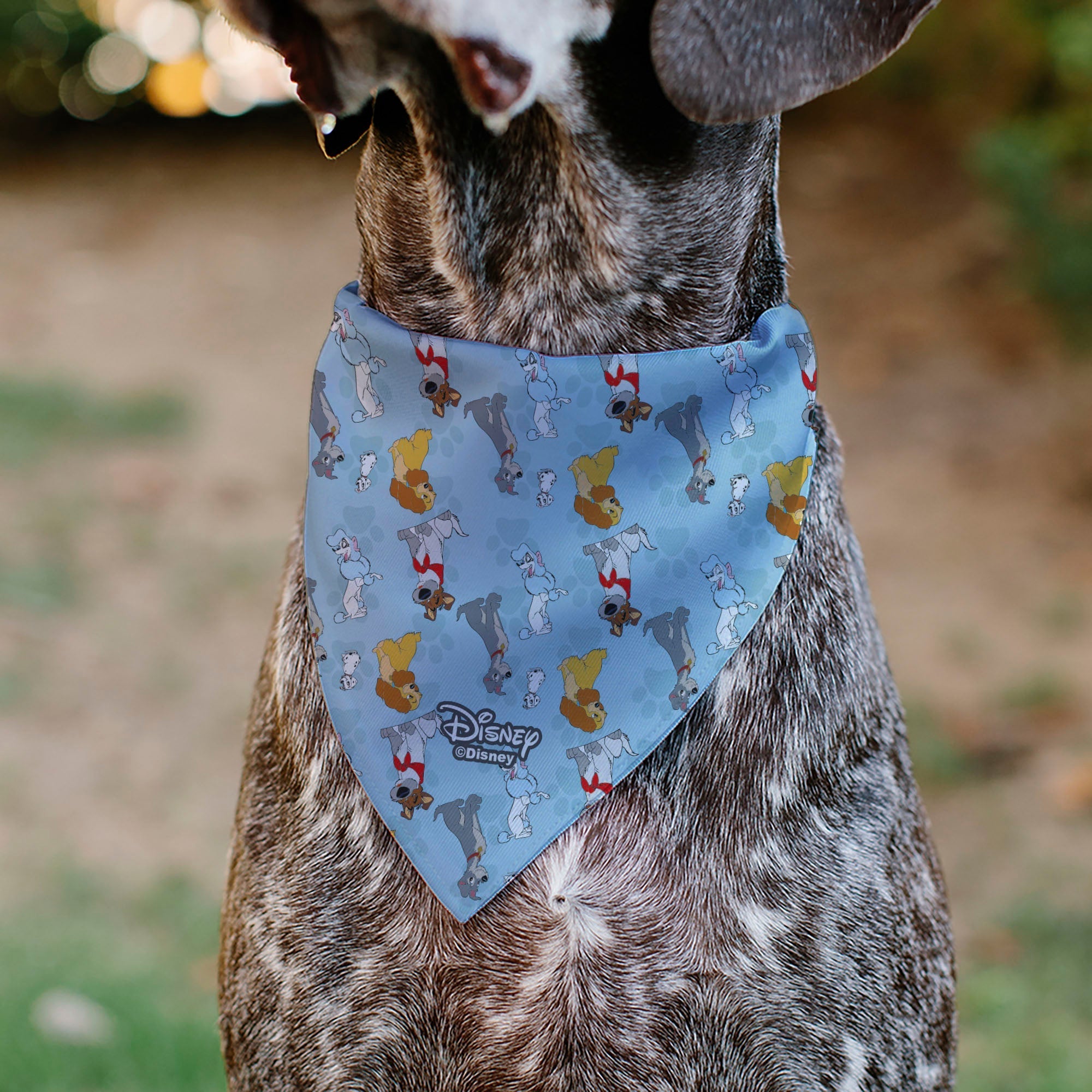 Pet Bandana - Disney Dogs 5-Dog Group Collage/Paws Blues 