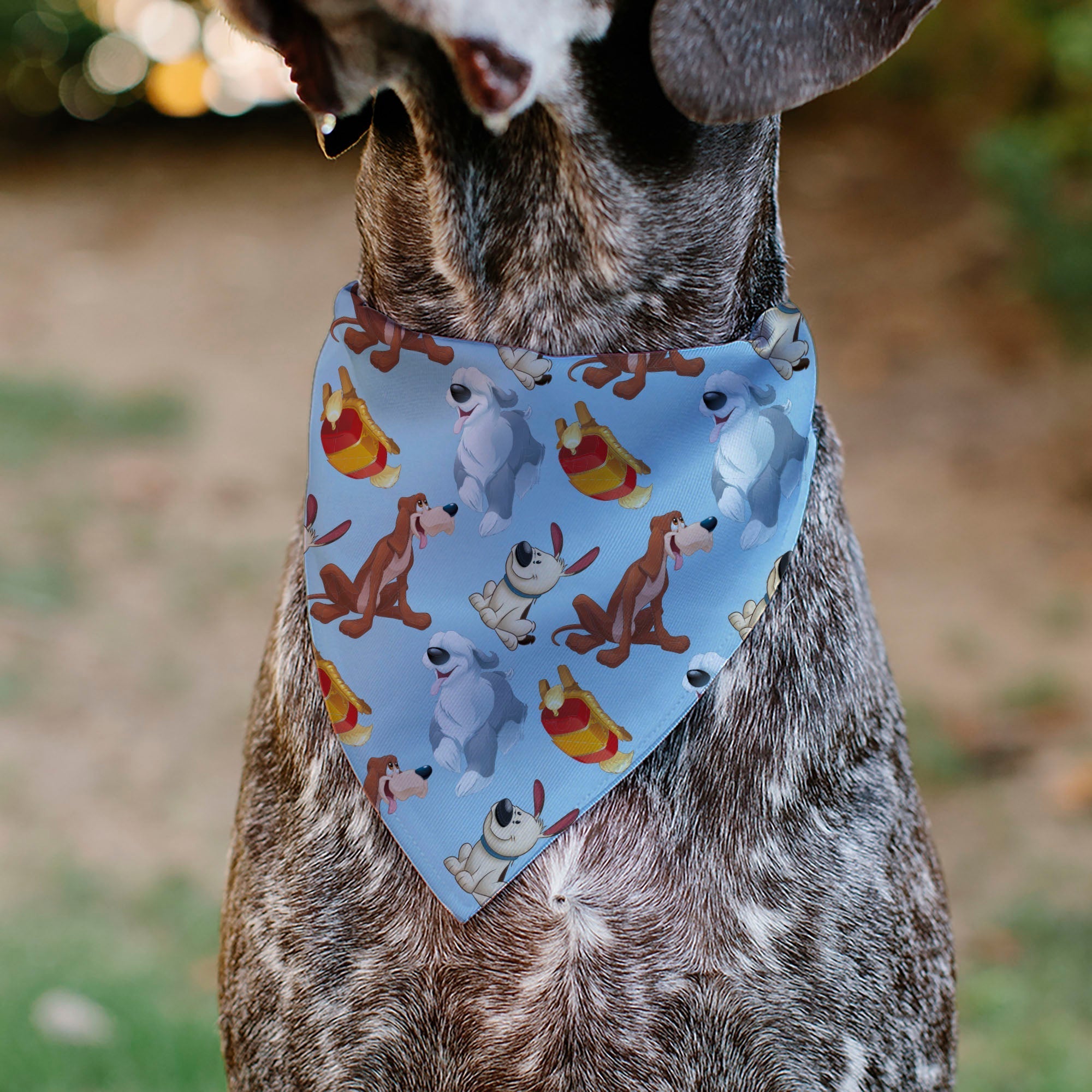 Pet Bandana - Disney Princess Dogs 4-Dog Group Collage/Paws Blues 