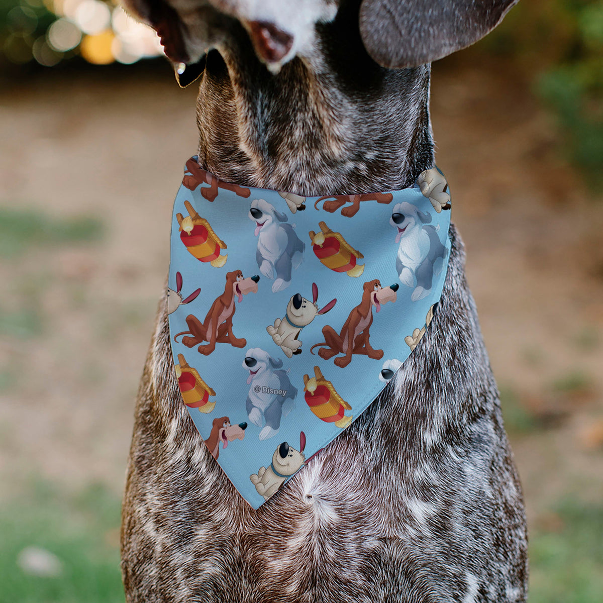 Pet Bandana - Disney Princess Dogs 4-Dog Group Collage/Paws Blues | HT Animal Supply