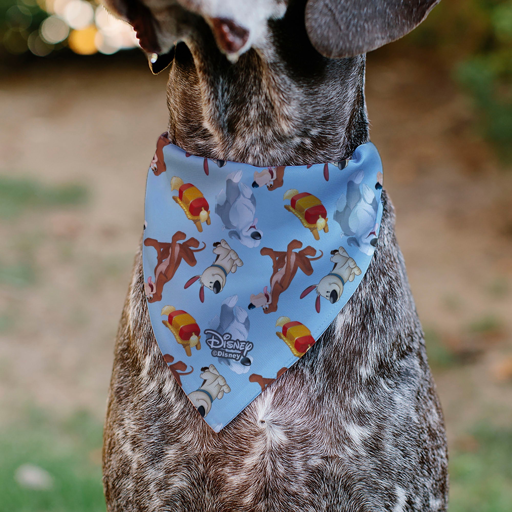 Pet Bandana - Disney Princess Dogs 4-Dog Group Collage/Paws Blues 