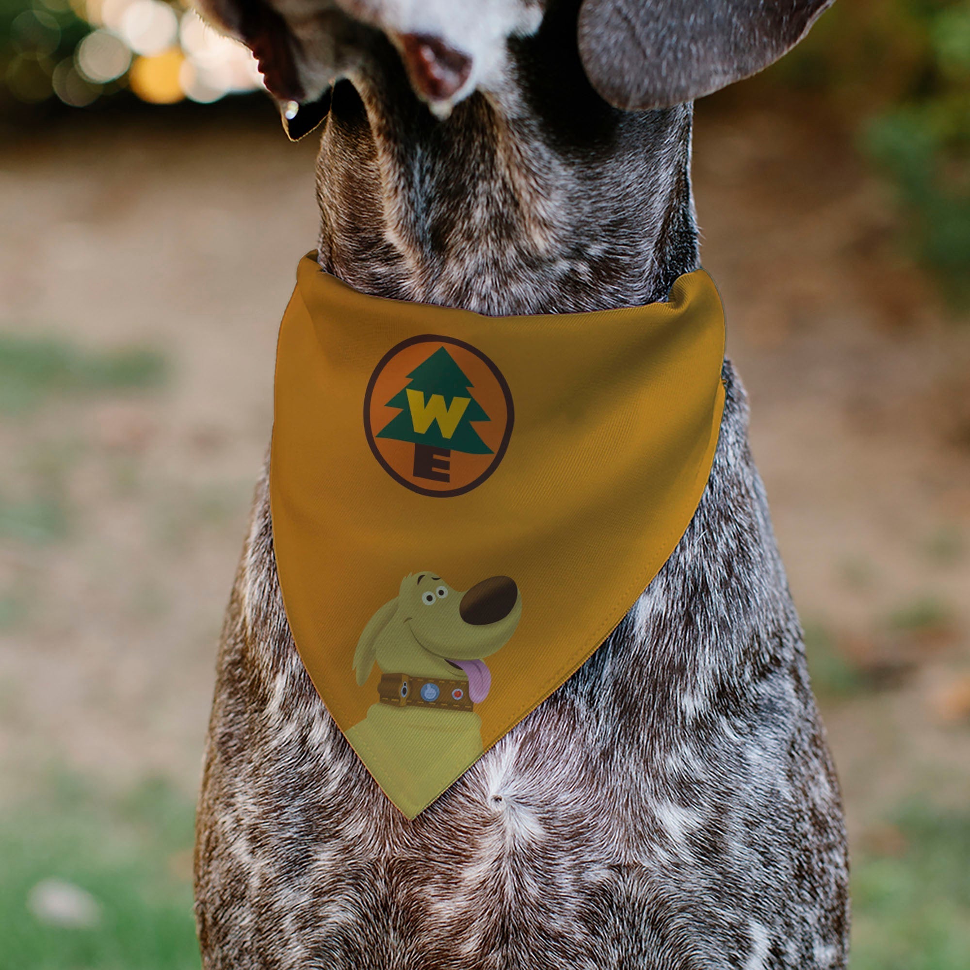 Pet Bandana - Up Dug Pose and Wilderness Explorer Badge Orange 