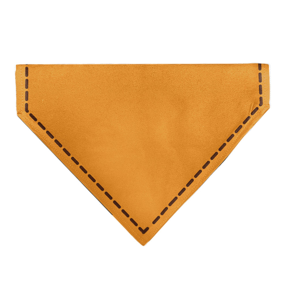 Pet Bandana - Up Dug SQUIRREL Pose and Wilderness Explorer Badge Orange 