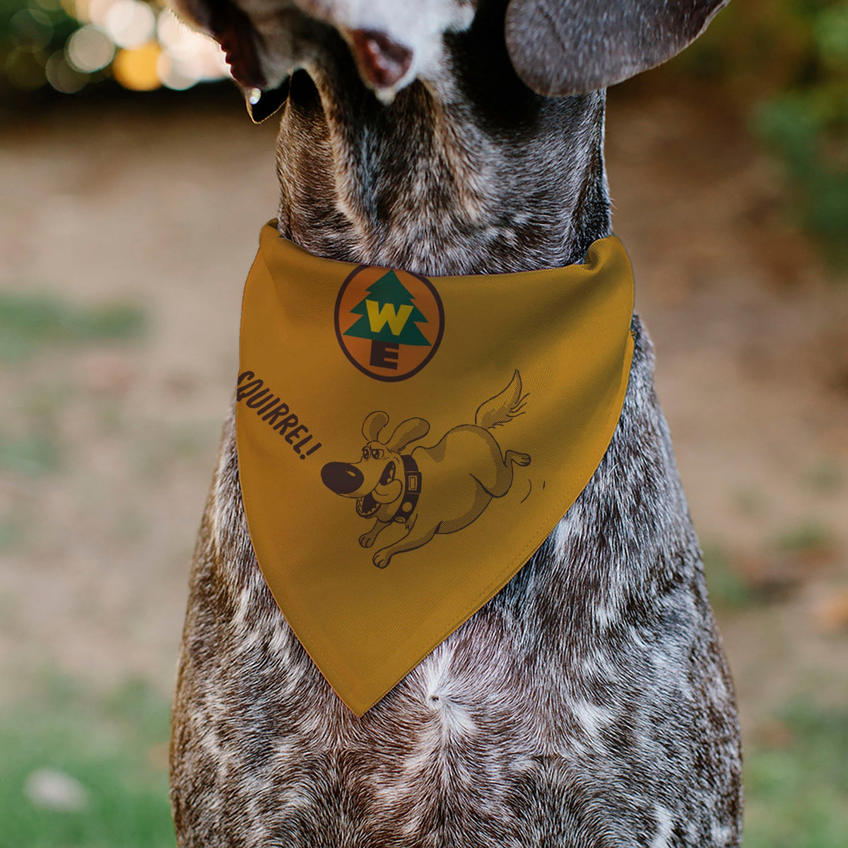 Pet Bandana - Up Dug SQUIRREL Pose and Wilderness Explorer Badge Orange 