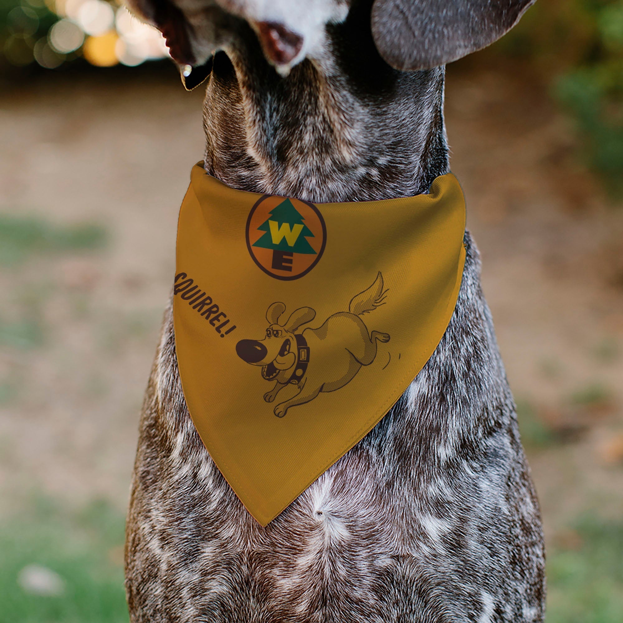Pet Bandana - Up Dug SQUIRREL Pose and Wilderness Explorer Badge Orange 