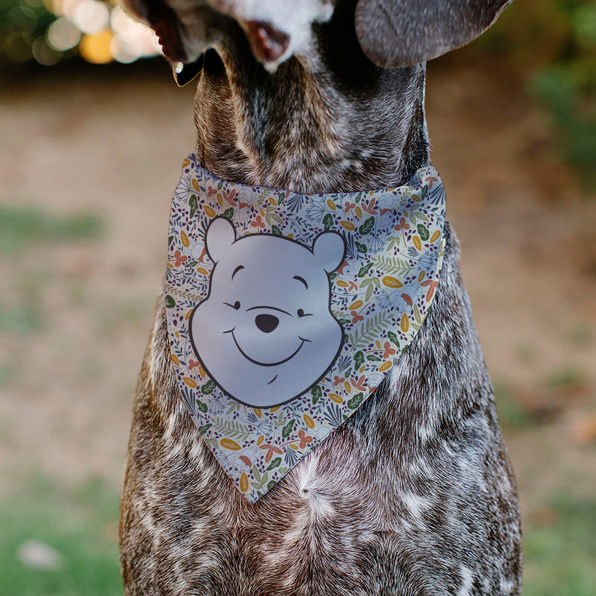 Pet Bandana - Winnie the Pooh Smiling Face/Foliage Collage Beige/Green/Orange/Yellow 