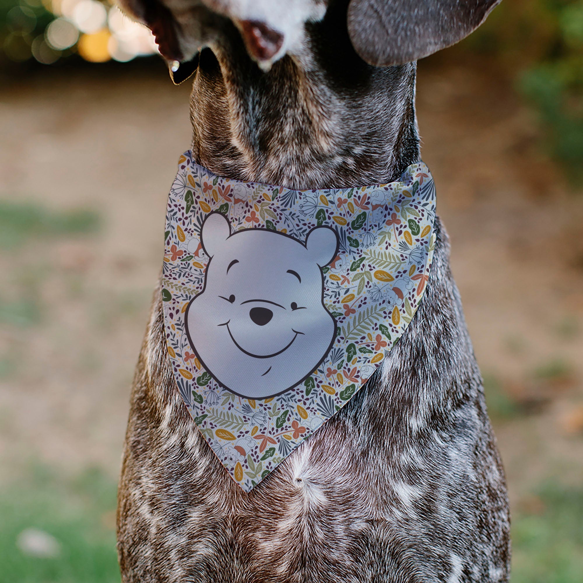 Pet Bandana - Winnie the Pooh Smiling Face/Foliage Collage Beige/Green/Orange/Yellow 